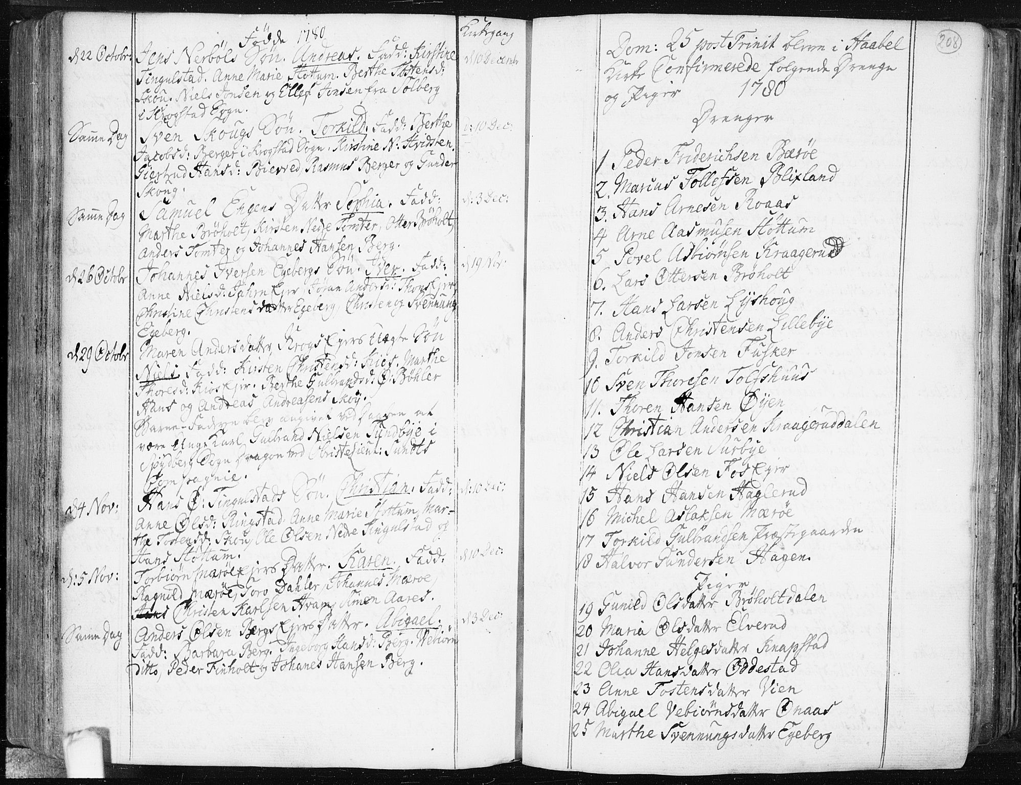 Hobøl prestekontor Kirkebøker, AV/SAO-A-2002/F/Fa/L0001: Parish register (official) no. I 1, 1733-1814, p. 208