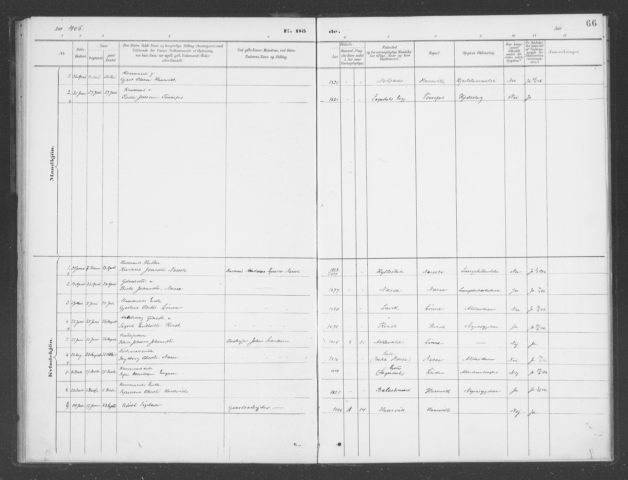 Vik sokneprestembete, AV/SAB-A-81501/H/Haa/Haad/L0002: Parish register (official) no. D  2, 1891-1907, p. 66