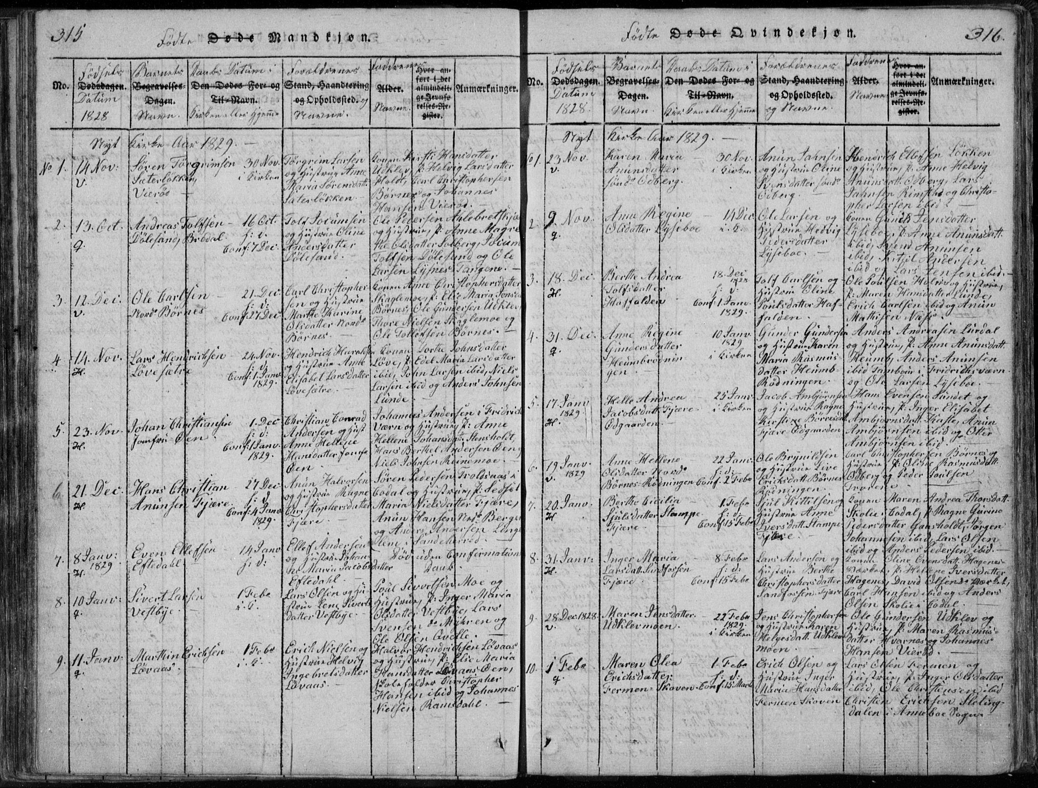 Hedrum kirkebøker, AV/SAKO-A-344/F/Fa/L0004: Parish register (official) no. I 4, 1817-1835, p. 315-316