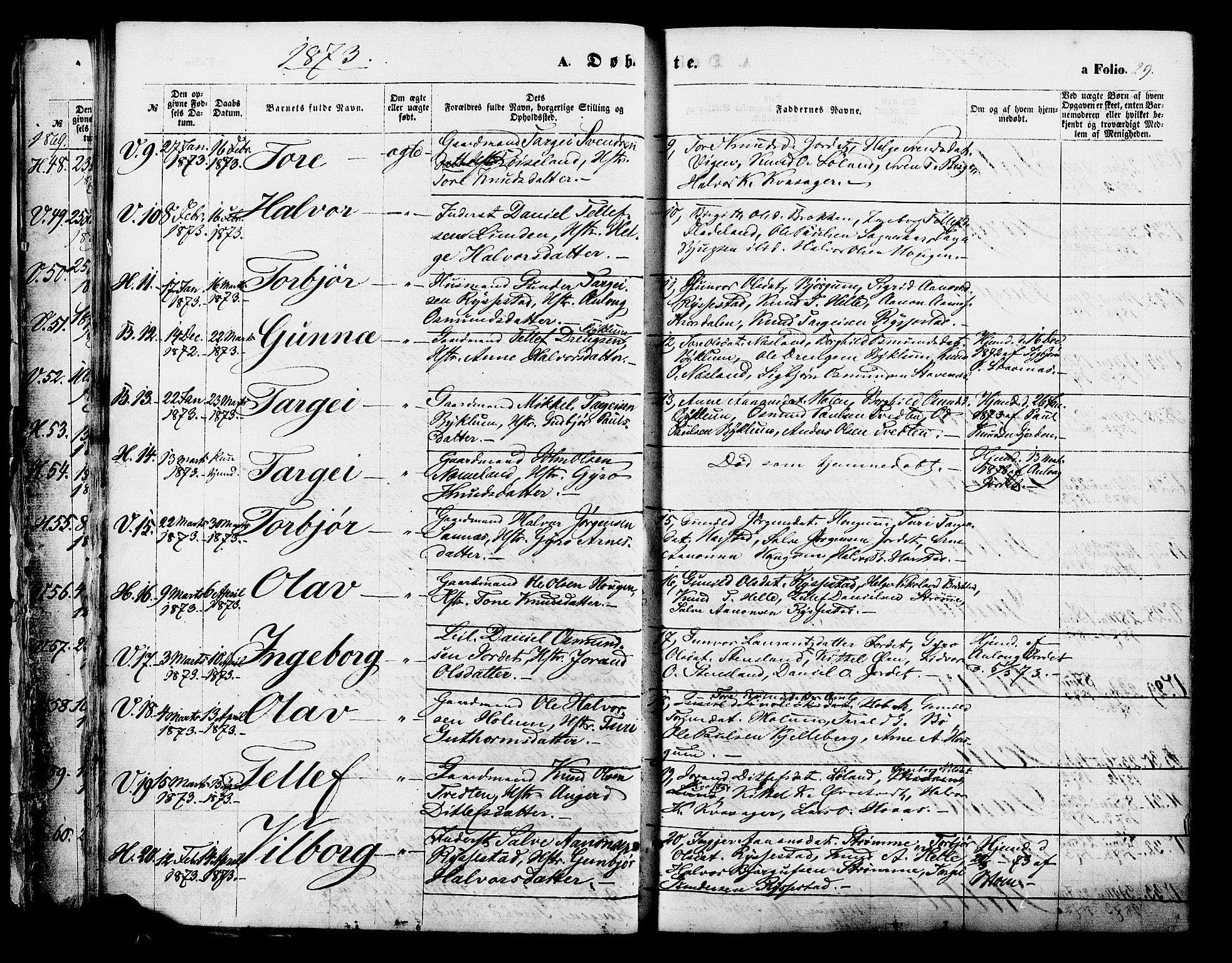 Valle sokneprestkontor, AV/SAK-1111-0044/F/Fa/Fac/L0008: Parish register (official) no. A 8, 1868-1882, p. 29