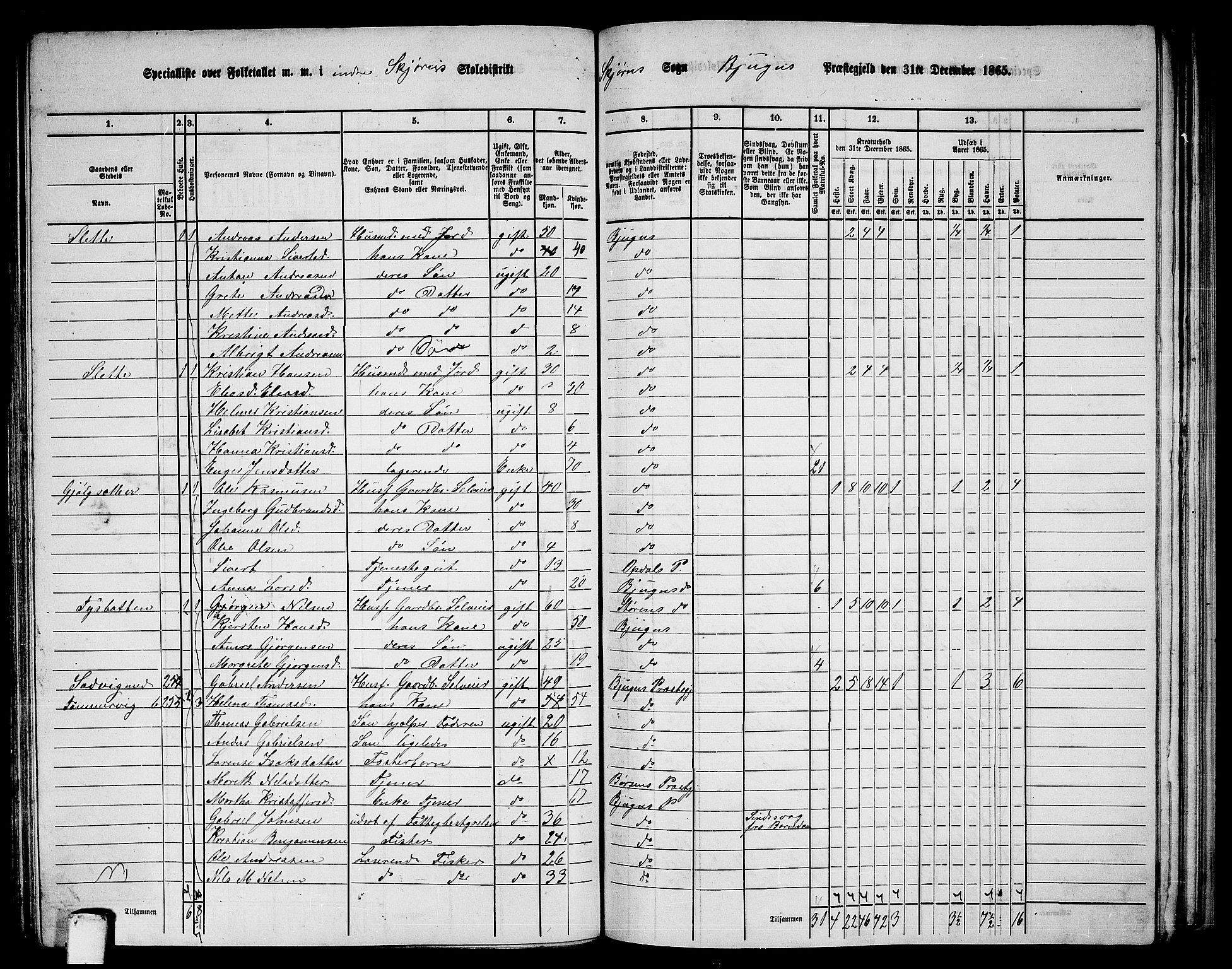 RA, 1865 census for Bjugn, 1865, p. 96