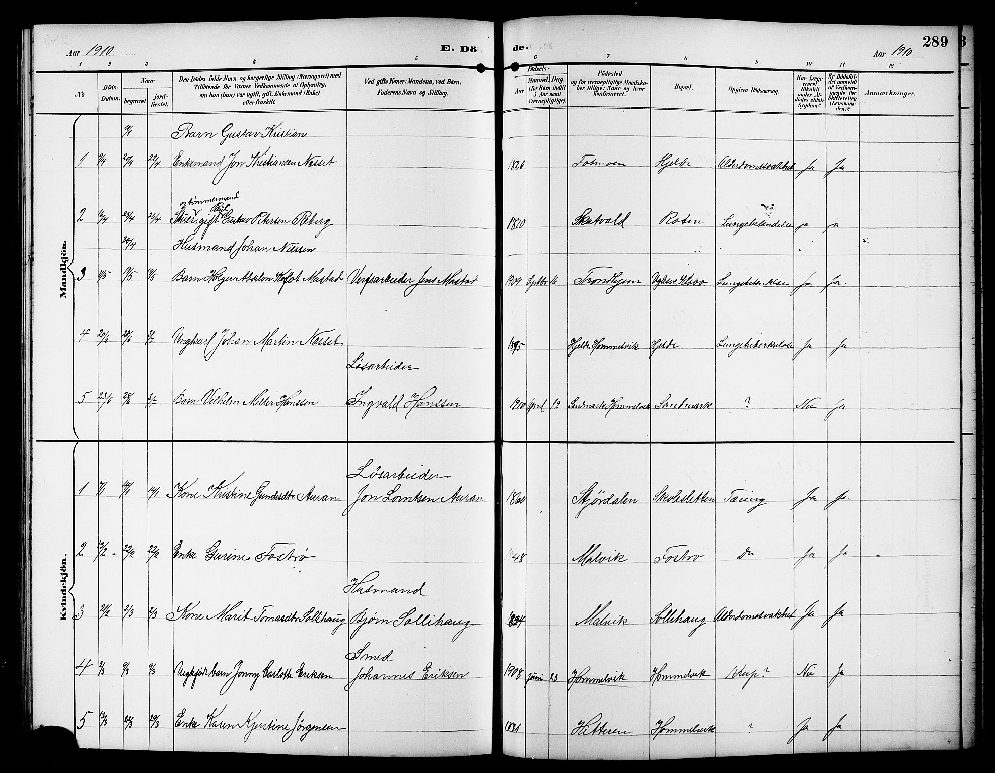Ministerialprotokoller, klokkerbøker og fødselsregistre - Sør-Trøndelag, SAT/A-1456/617/L0431: Parish register (copy) no. 617C01, 1889-1910, p. 289