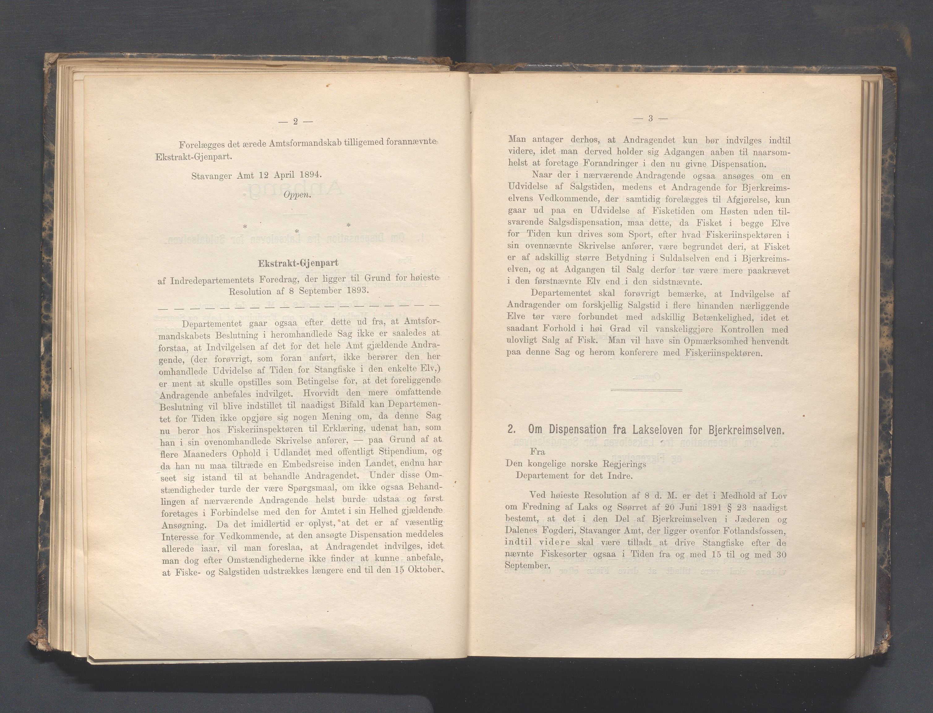 Rogaland fylkeskommune - Fylkesrådmannen , IKAR/A-900/A, 1894, p. 81