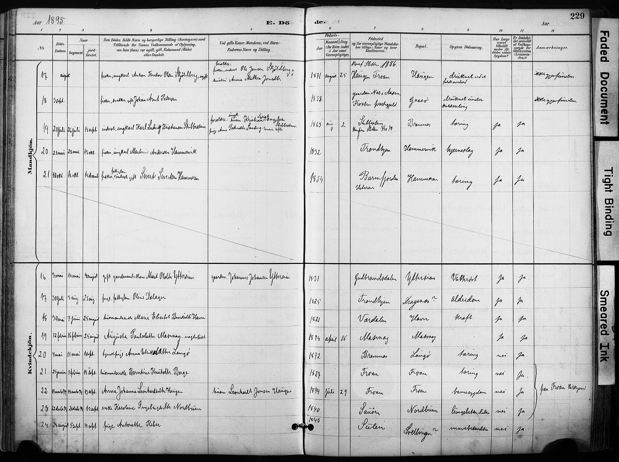 Ministerialprotokoller, klokkerbøker og fødselsregistre - Sør-Trøndelag, SAT/A-1456/640/L0579: Parish register (official) no. 640A04, 1889-1902, p. 229