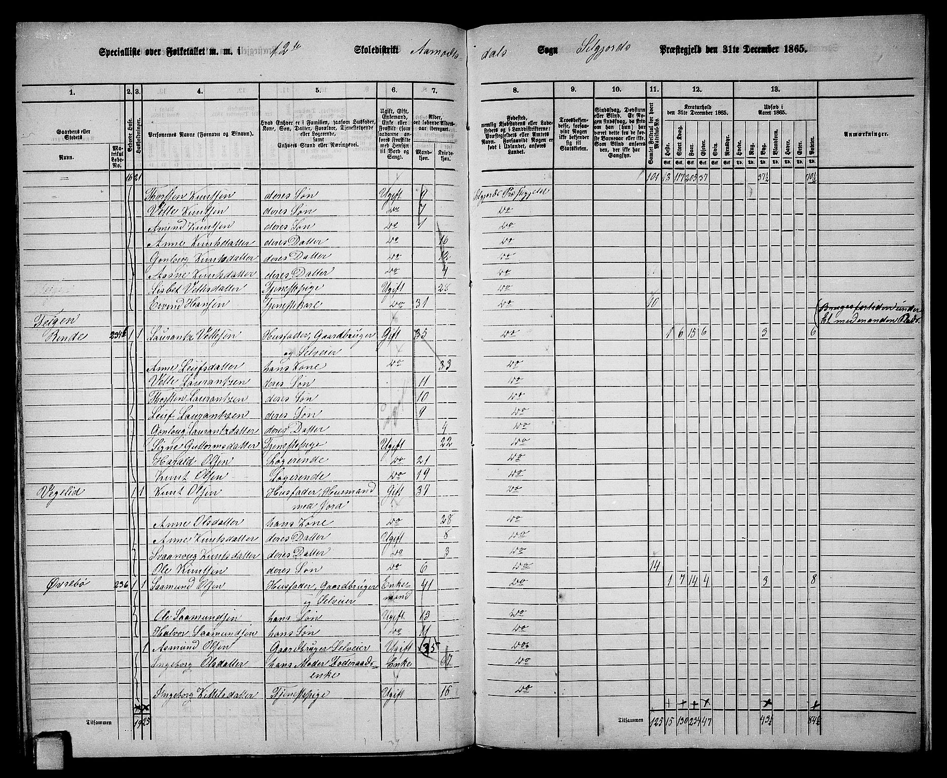 RA, 1865 census for Seljord, 1865, p. 167