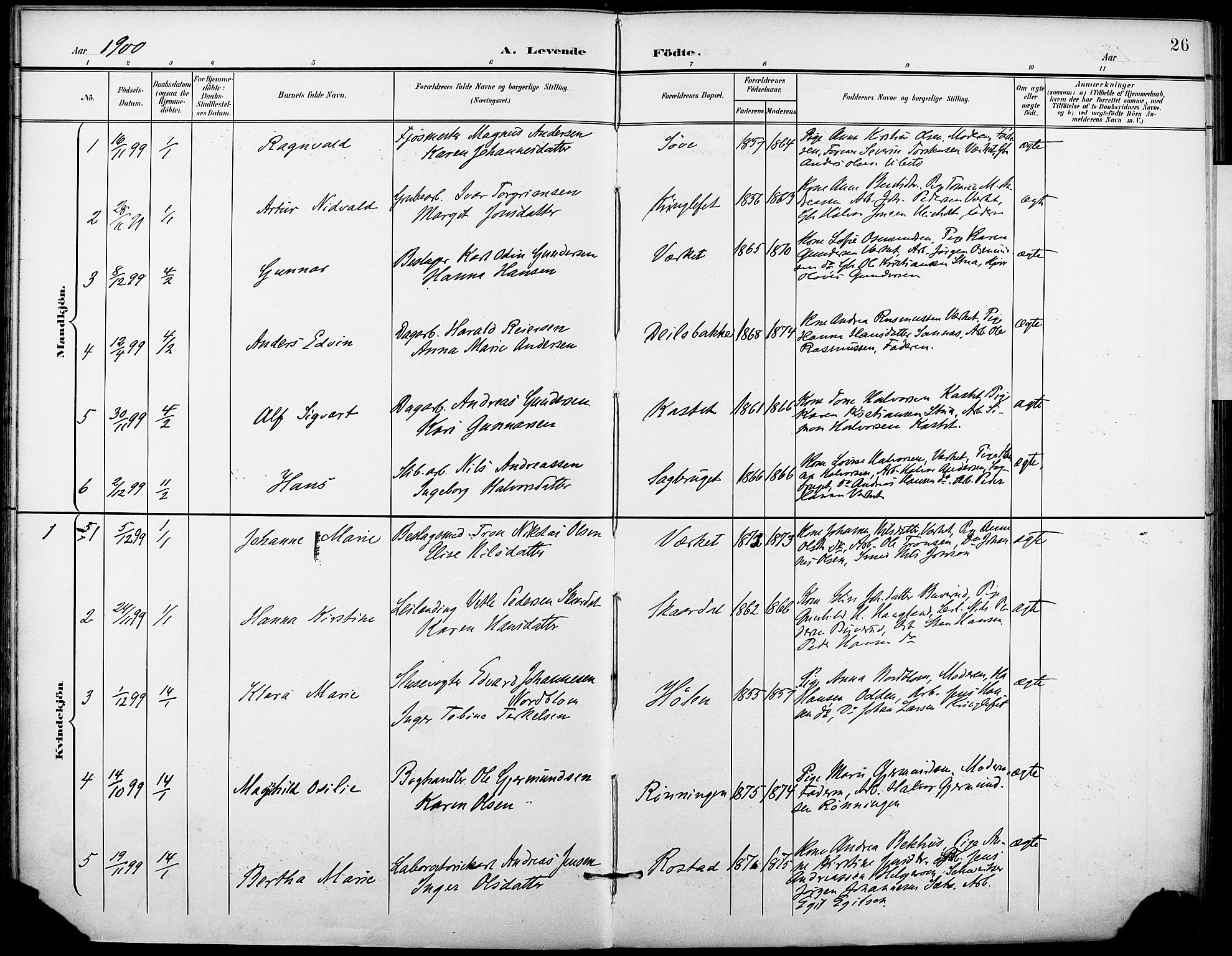 Holla kirkebøker, SAKO/A-272/F/Fa/L0010: Parish register (official) no. 10, 1897-1907, p. 26