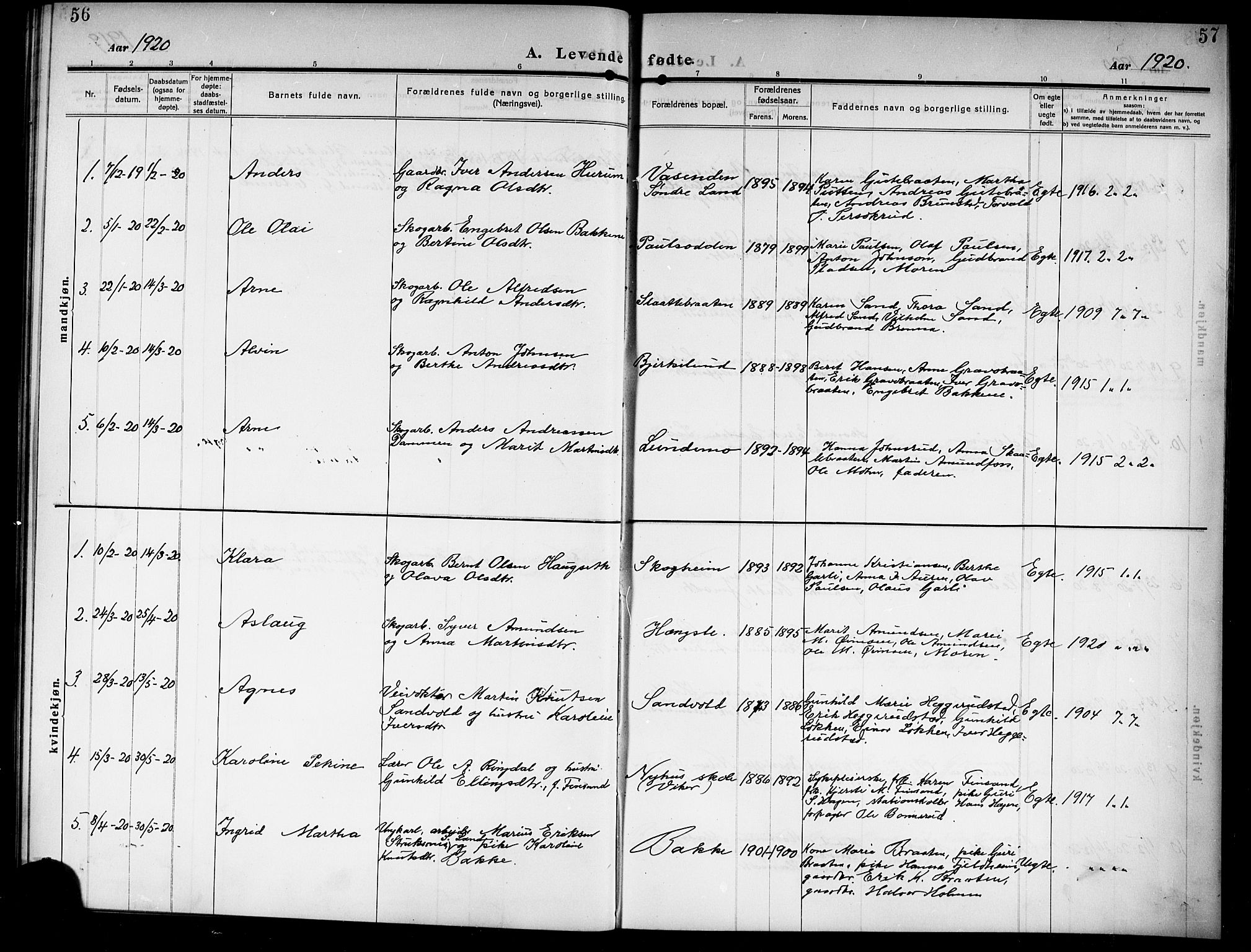 Ådal kirkebøker, SAKO/A-248/G/Gb/L0002: Parish register (copy) no. II 2, 1909-1920, p. 56-57