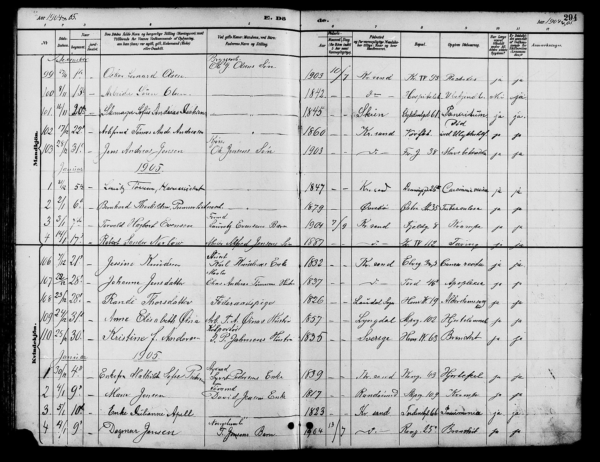 Kristiansand domprosti, SAK/1112-0006/F/Fb/L0017: Parish register (copy) no. B 17, 1893-1906, p. 294