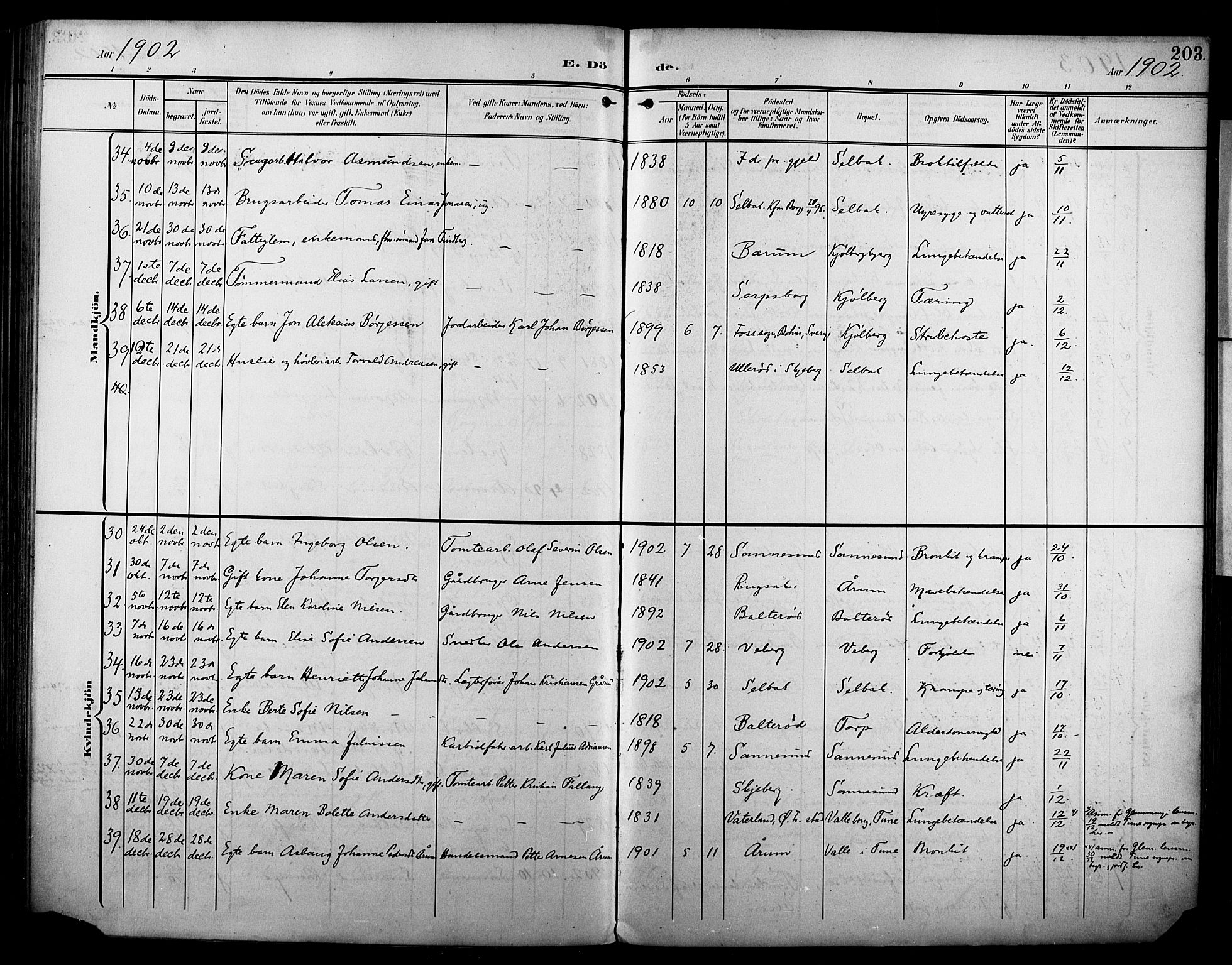 Borge prestekontor Kirkebøker, AV/SAO-A-10903/F/Fa/L0009: Parish register (official) no. I 9, 1902-1911, p. 203