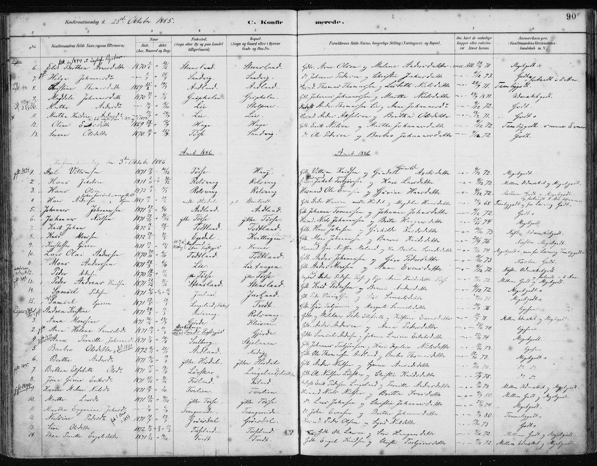 Samnanger Sokneprestembete, SAB/A-77501/H/Haa: Parish register (official) no. A 1, 1885-1901, p. 90