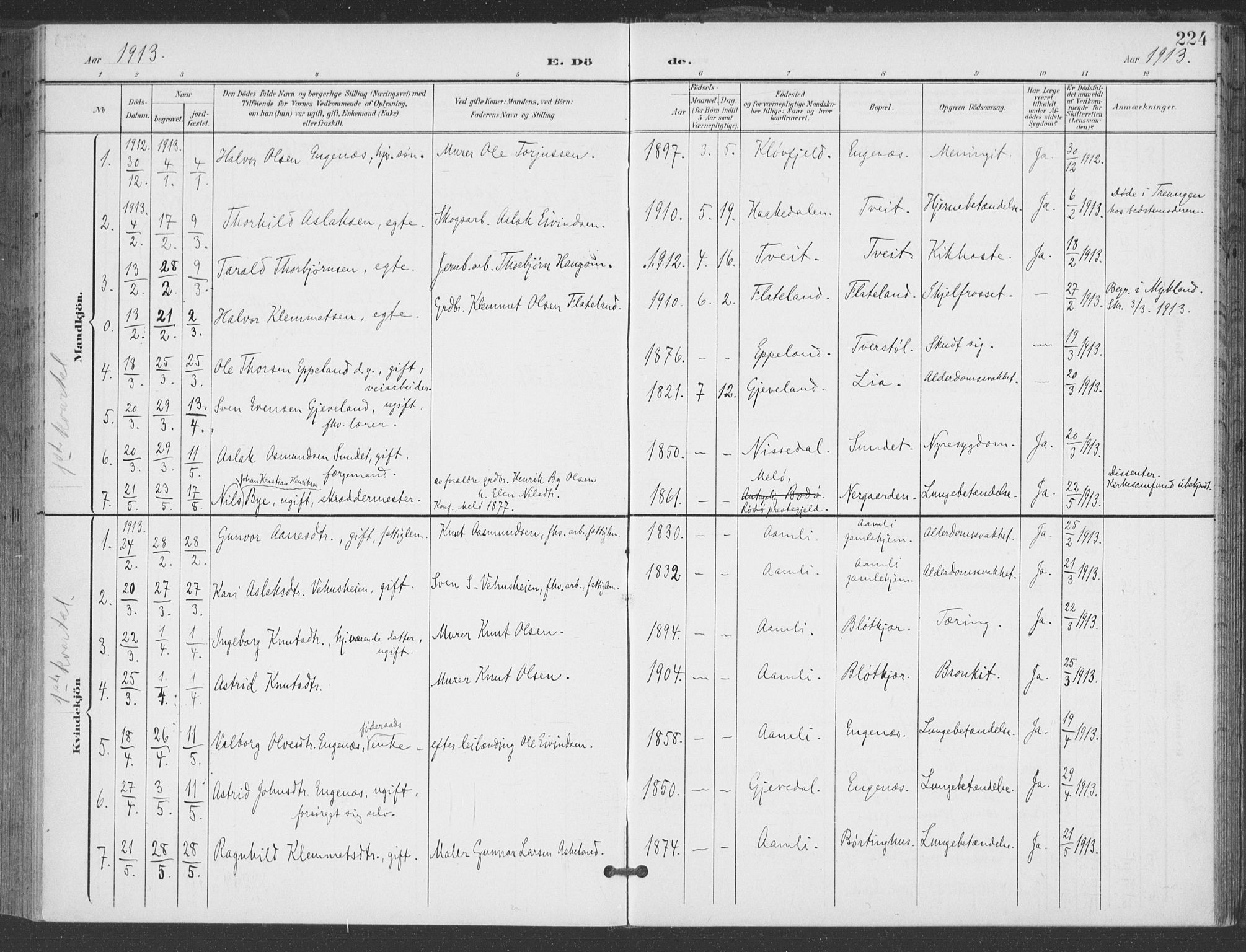 Åmli sokneprestkontor, AV/SAK-1111-0050/F/Fa/Fac/L0012: Parish register (official) no. A 12, 1900-1914, p. 224