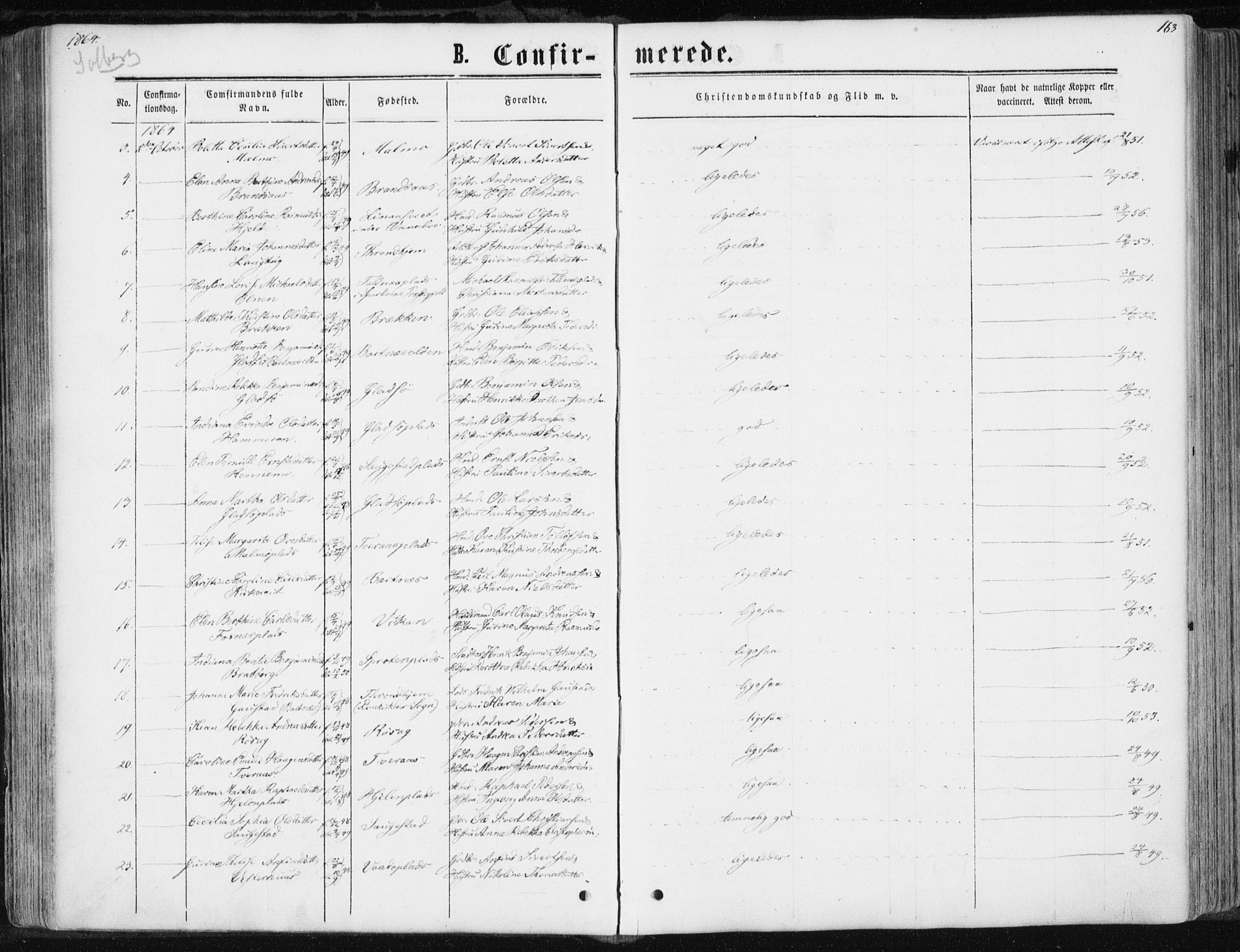 Ministerialprotokoller, klokkerbøker og fødselsregistre - Nord-Trøndelag, AV/SAT-A-1458/741/L0394: Parish register (official) no. 741A08, 1864-1877, p. 163