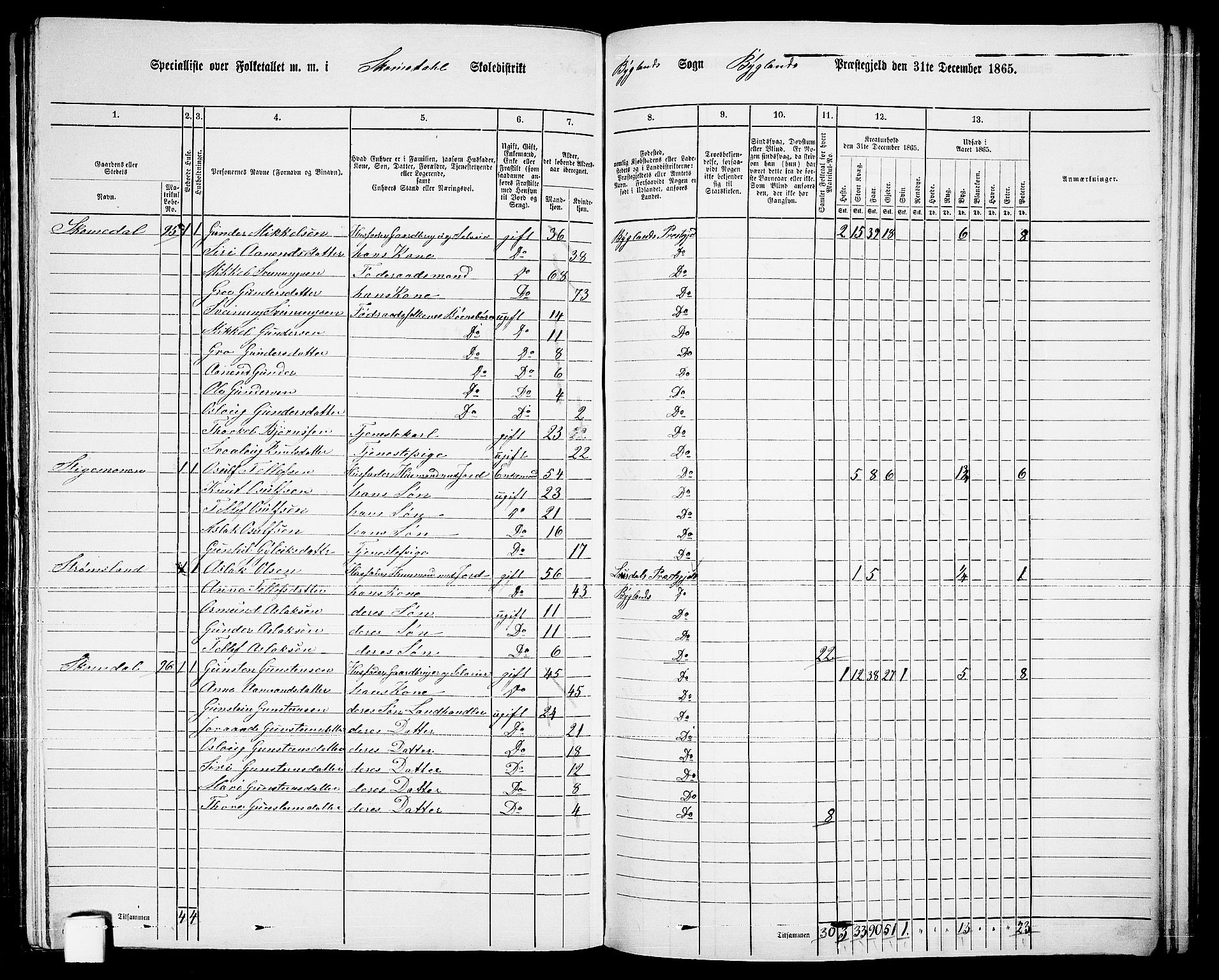 RA, 1865 census for Bygland, 1865, p. 51