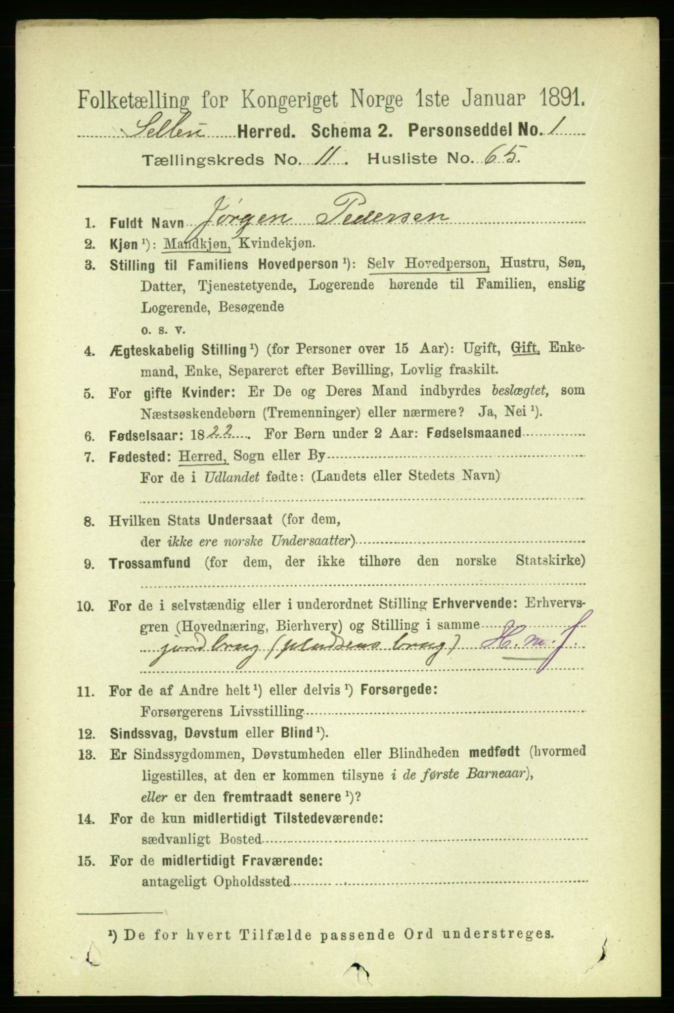 RA, 1891 census for 1664 Selbu, 1891, p. 4363