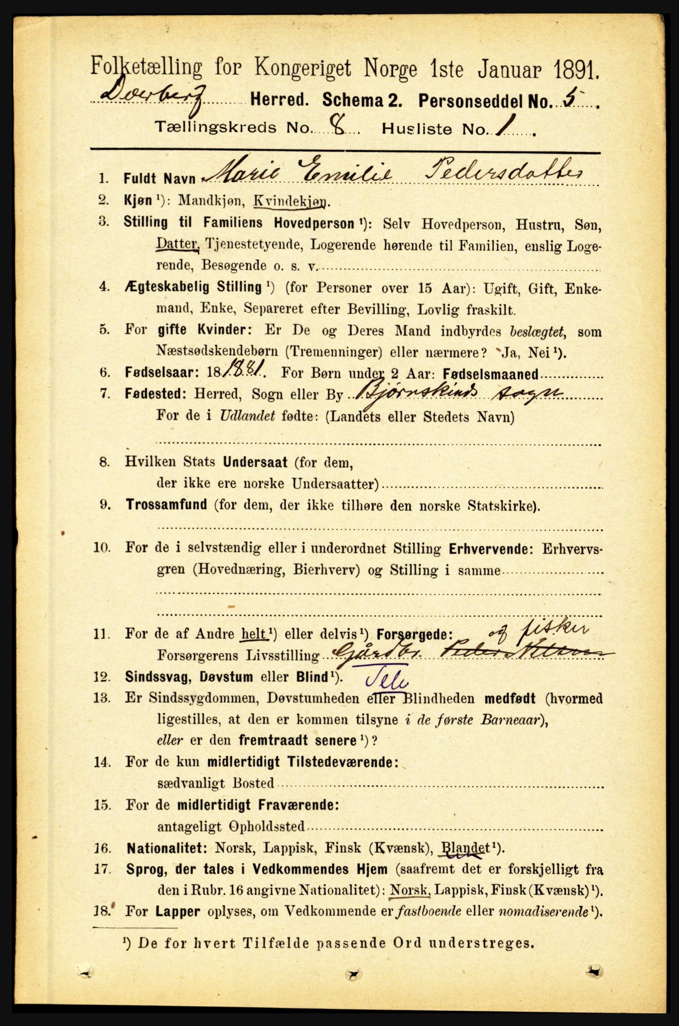 RA, 1891 census for 1872 Dverberg, 1891, p. 3114