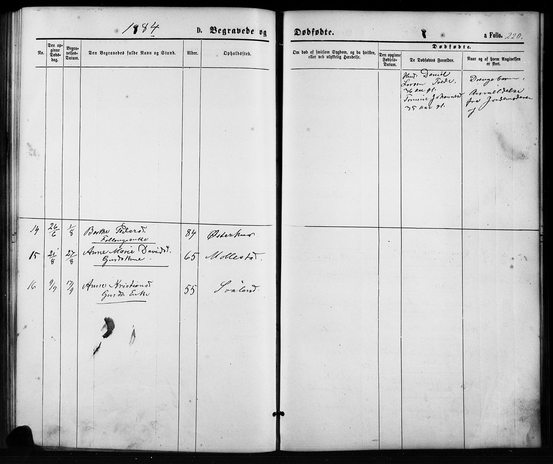 Birkenes sokneprestkontor, SAK/1111-0004/F/Fb/L0003: Parish register (copy) no. B 3, 1876-1892, p. 220
