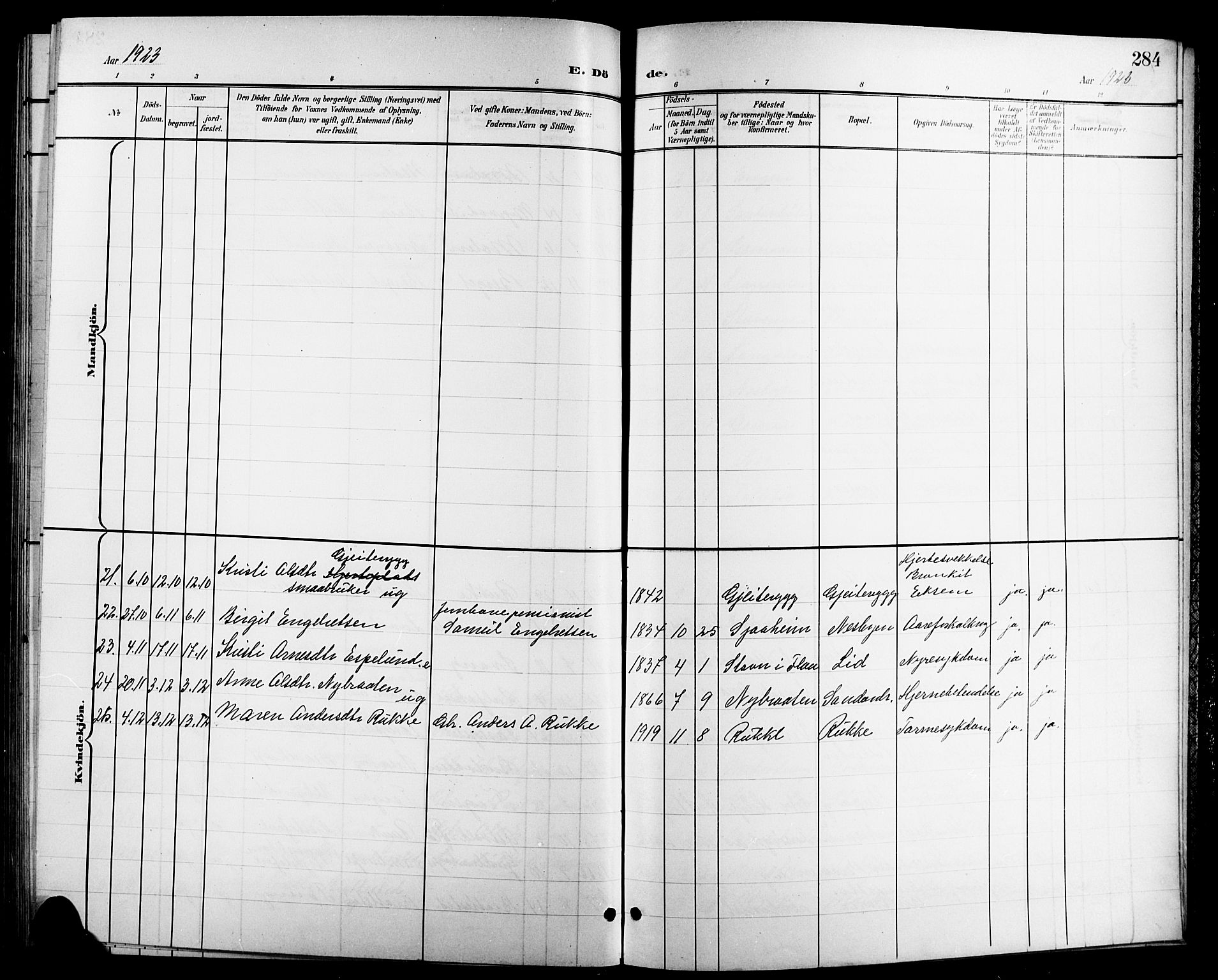 Nes kirkebøker, AV/SAKO-A-236/G/Ga/L0004: Parish register (copy) no. I 4, 1900-1925, p. 284