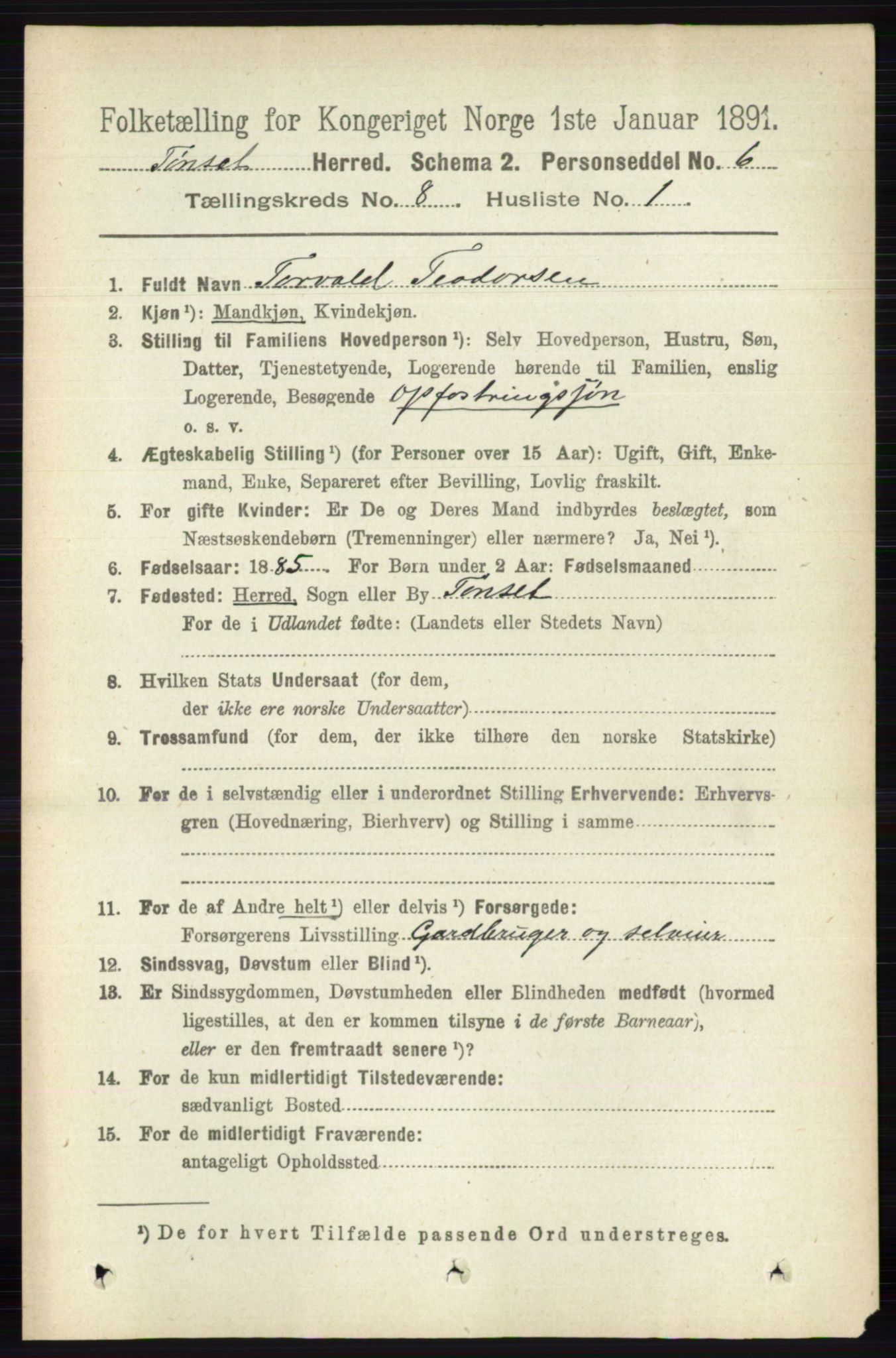 RA, 1891 census for 0437 Tynset, 1891, p. 2080