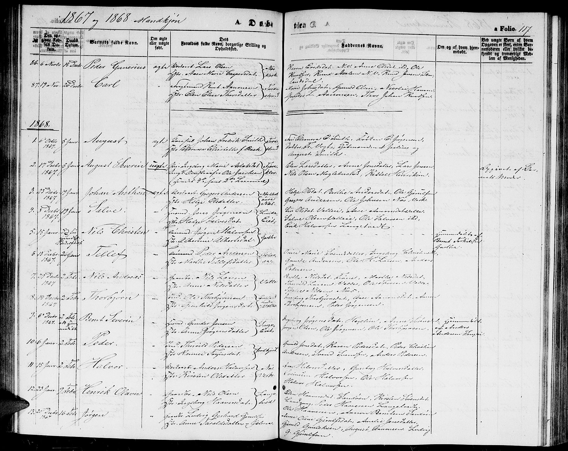 Holt sokneprestkontor, AV/SAK-1111-0021/F/Fb/L0008: Parish register (copy) no. B 8, 1858-1871, p. 117