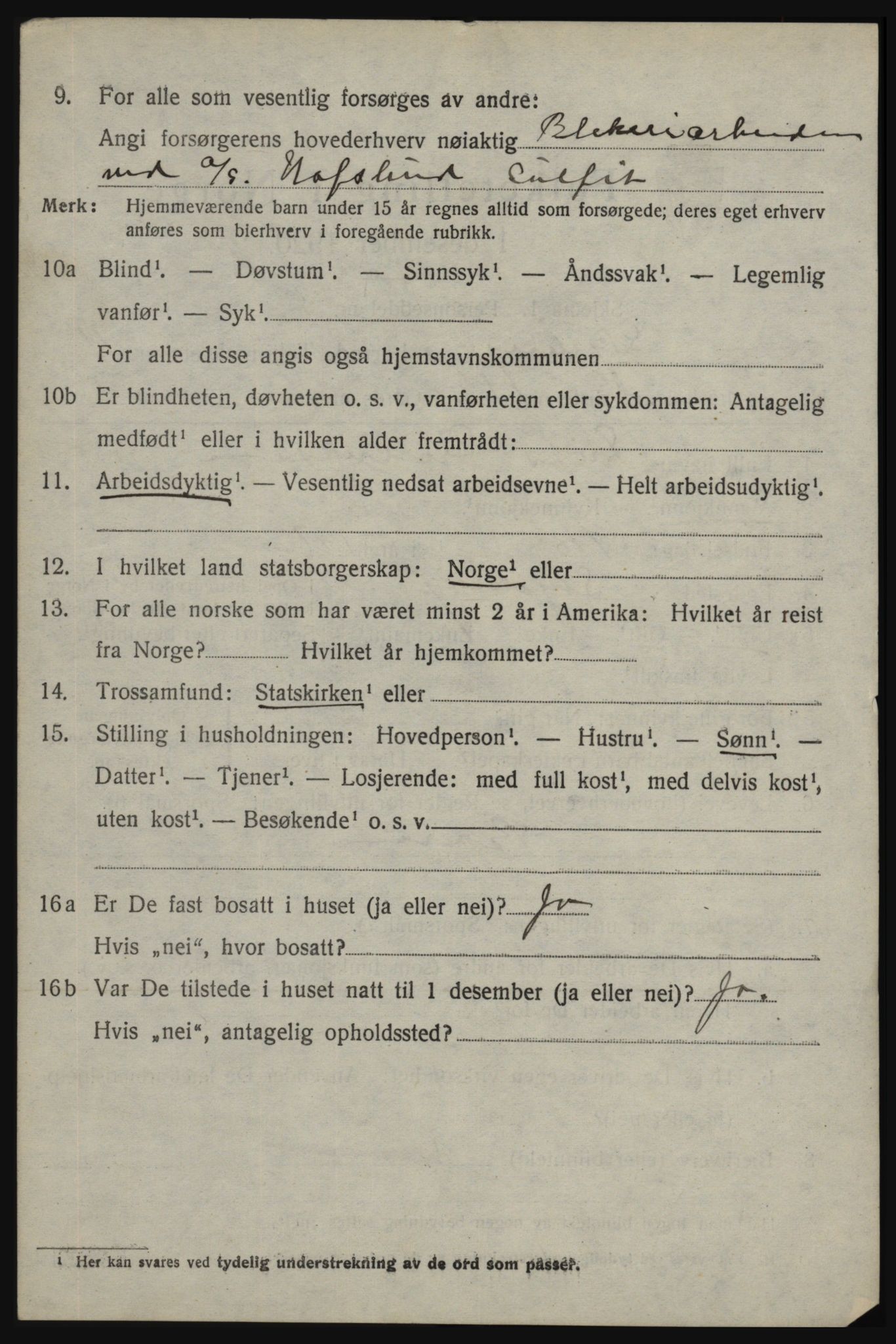 SAO, 1920 census for Skjeberg, 1920, p. 10192