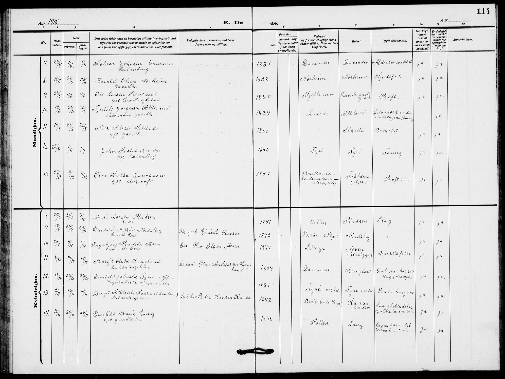 Lunde kirkebøker, SAKO/A-282/F/Fa/L0005: Parish register (official) no. I 5, 1914-1922, p. 114