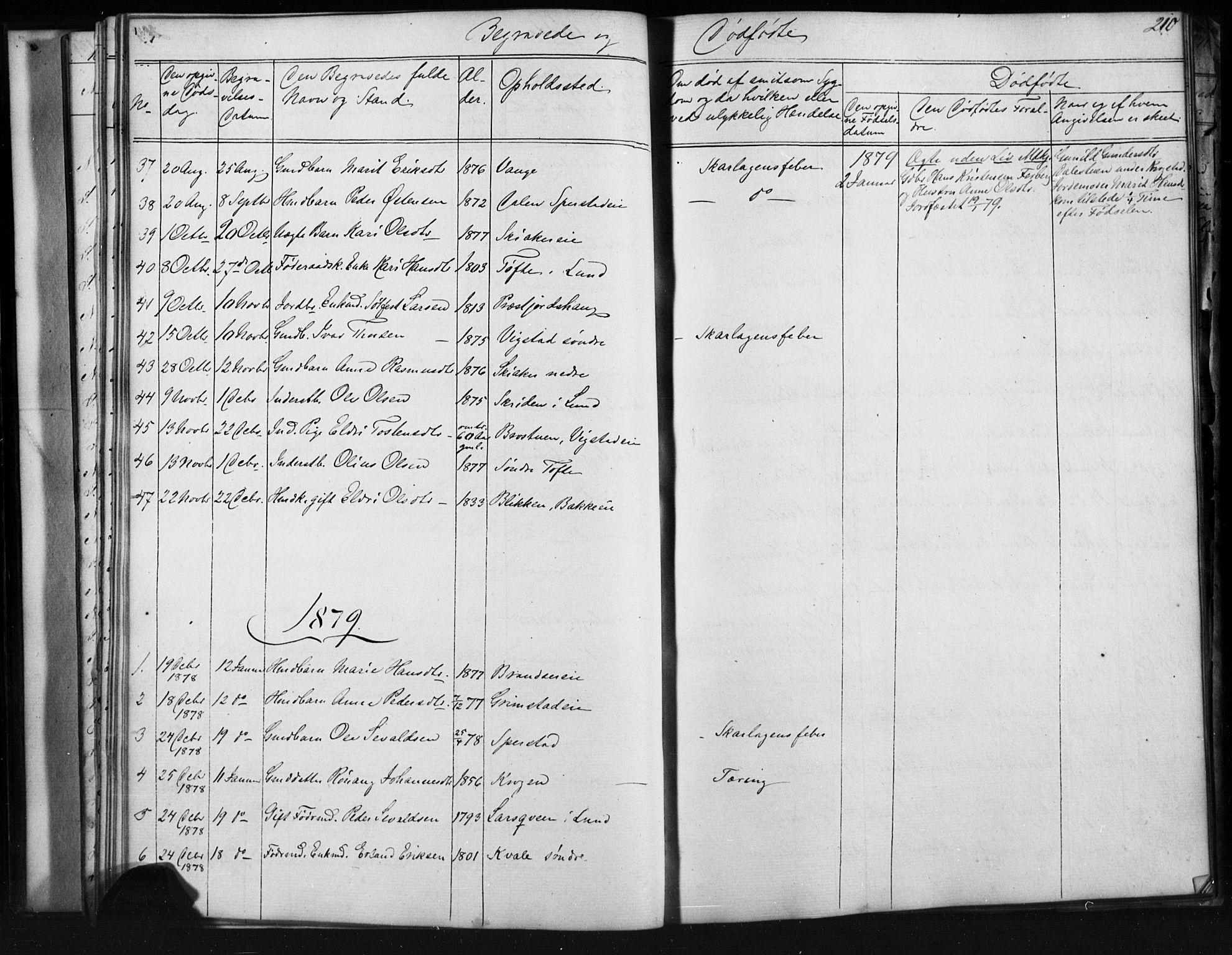 Skjåk prestekontor, SAH/PREST-072/H/Ha/Hab/L0001: Parish register (copy) no. 1, 1865-1893, p. 210