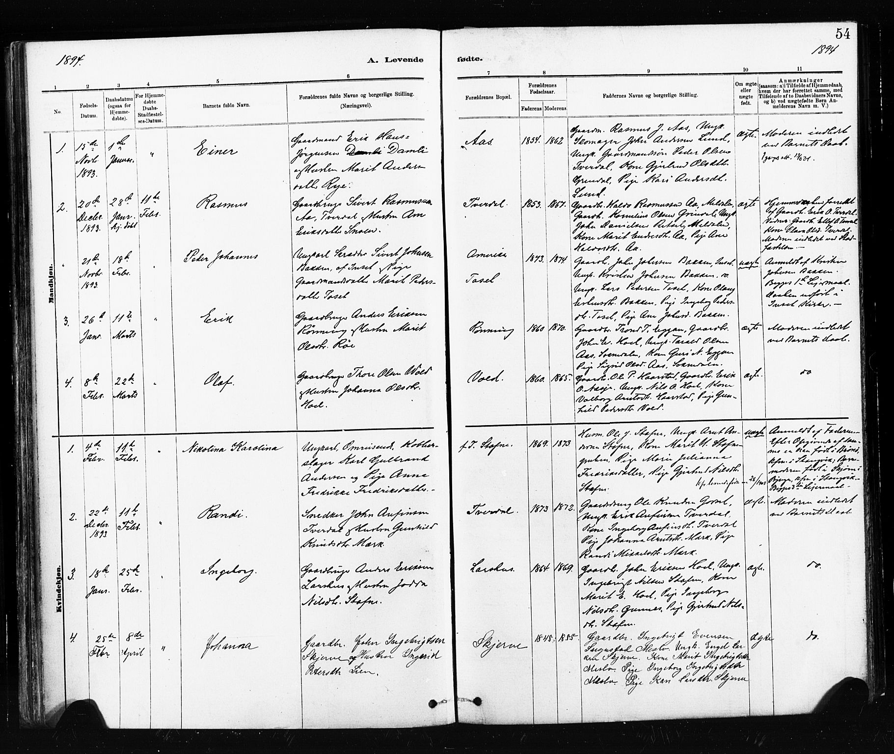Ministerialprotokoller, klokkerbøker og fødselsregistre - Sør-Trøndelag, SAT/A-1456/674/L0871: Parish register (official) no. 674A03, 1880-1896, p. 54