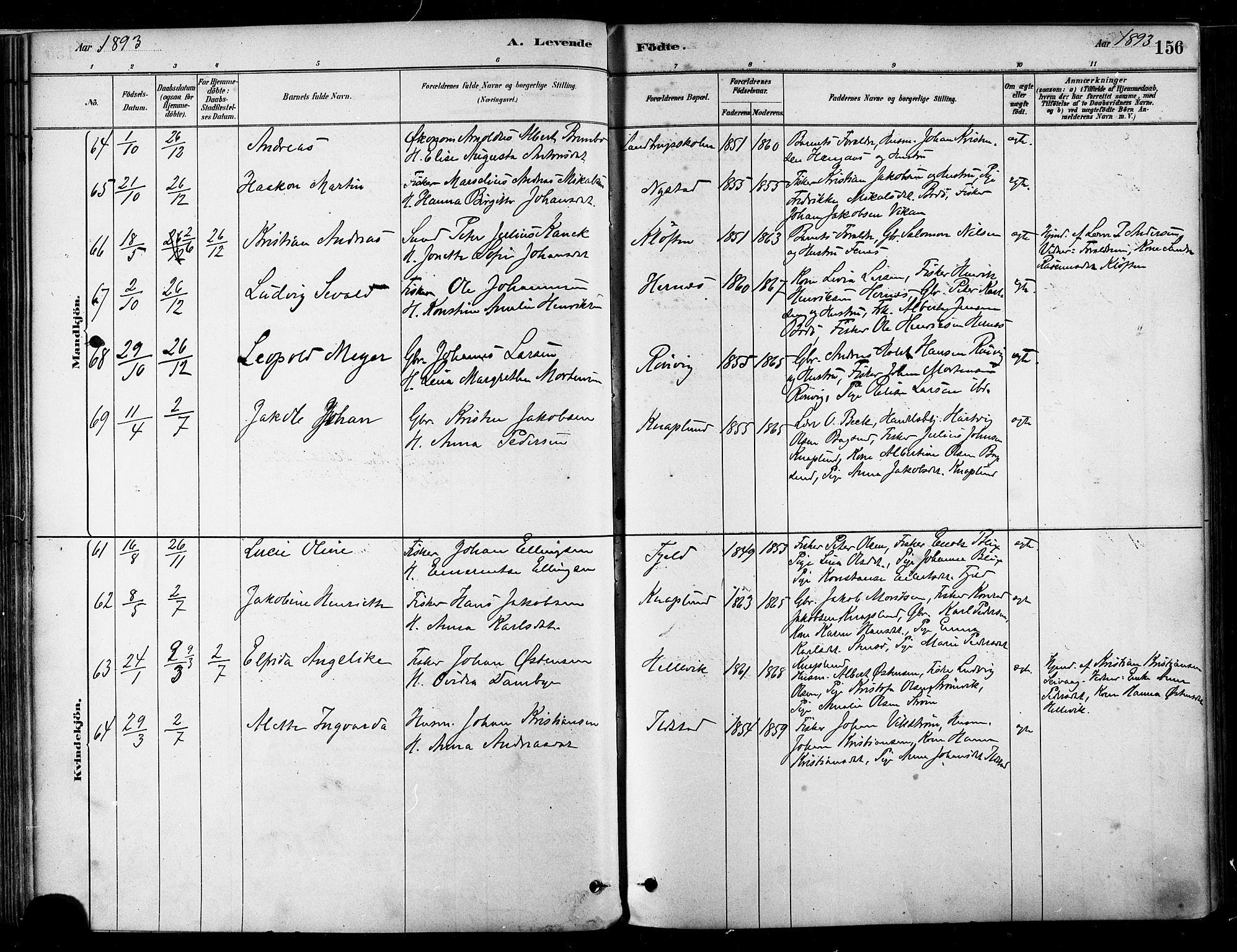 Ministerialprotokoller, klokkerbøker og fødselsregistre - Nordland, AV/SAT-A-1459/802/L0054: Parish register (official) no. 802A01, 1879-1893, p. 156