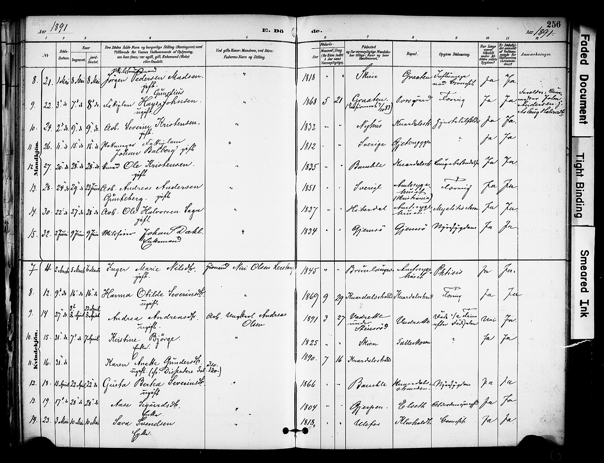 Solum kirkebøker, SAKO/A-306/F/Fa/L0010: Parish register (official) no. I 10, 1888-1898, p. 256
