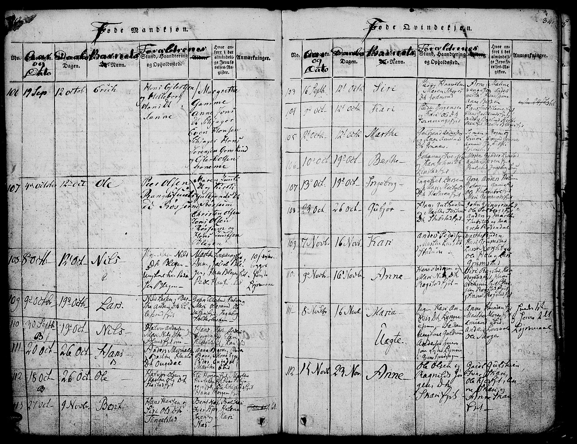 Gran prestekontor, AV/SAH-PREST-112/H/Ha/Haa/L0009: Parish register (official) no. 9, 1815-1824, p. 342-343