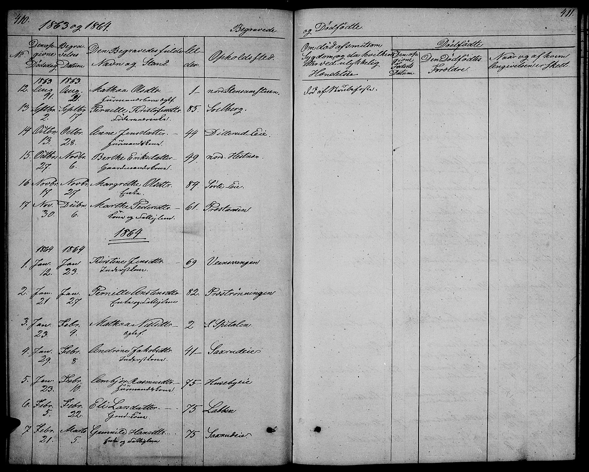 Stange prestekontor, SAH/PREST-002/L/L0005: Parish register (copy) no. 5, 1861-1881, p. 410-411