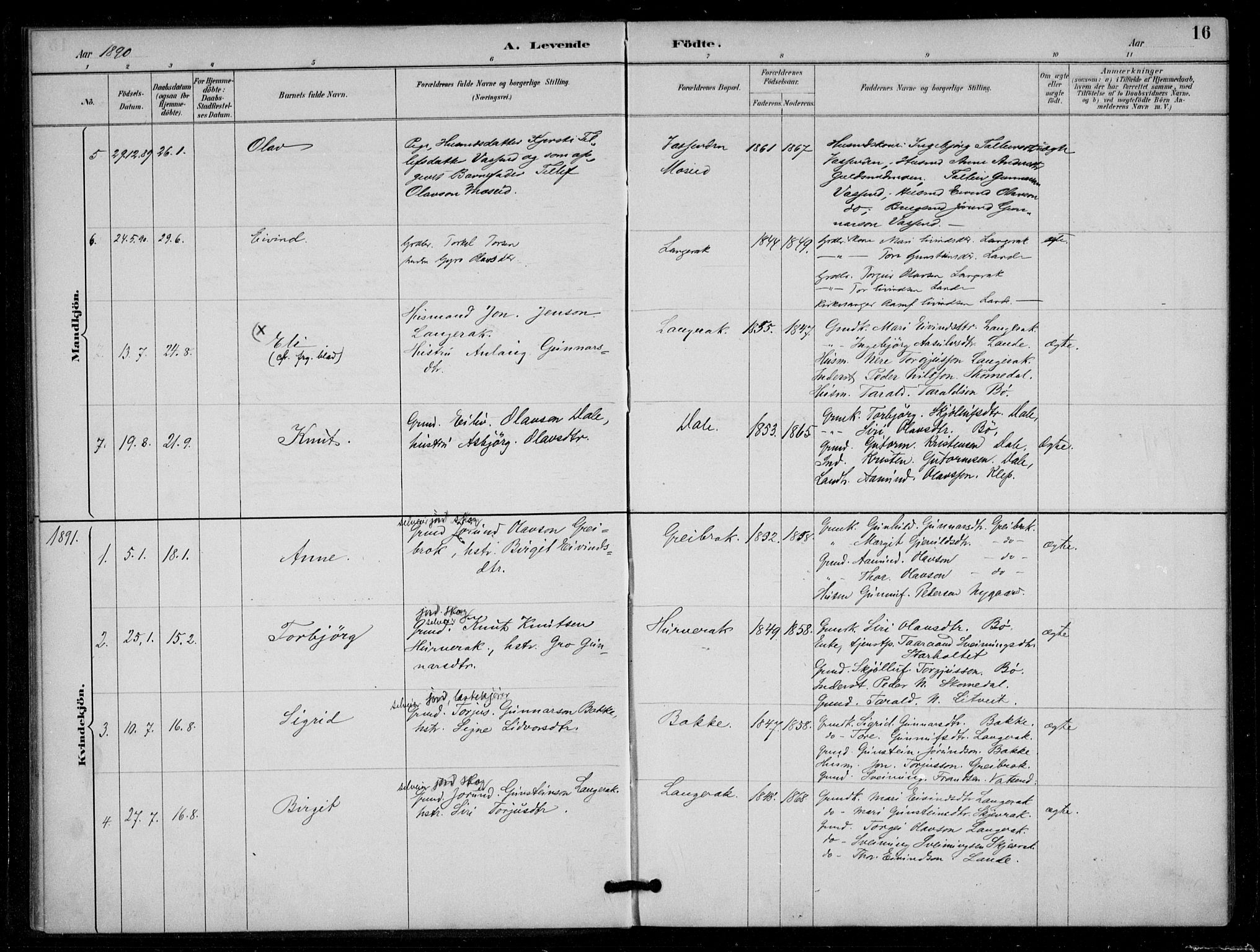 Bygland sokneprestkontor, SAK/1111-0006/F/Fa/Fad/L0001: Parish register (official) no. A 1, 1885-1906, p. 16
