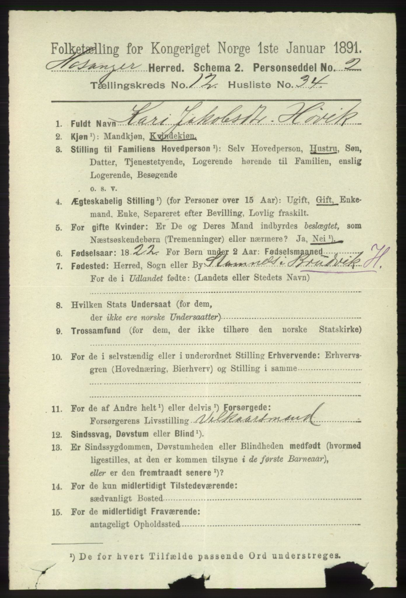 RA, 1891 census for 1253 Hosanger, 1891, p. 4272