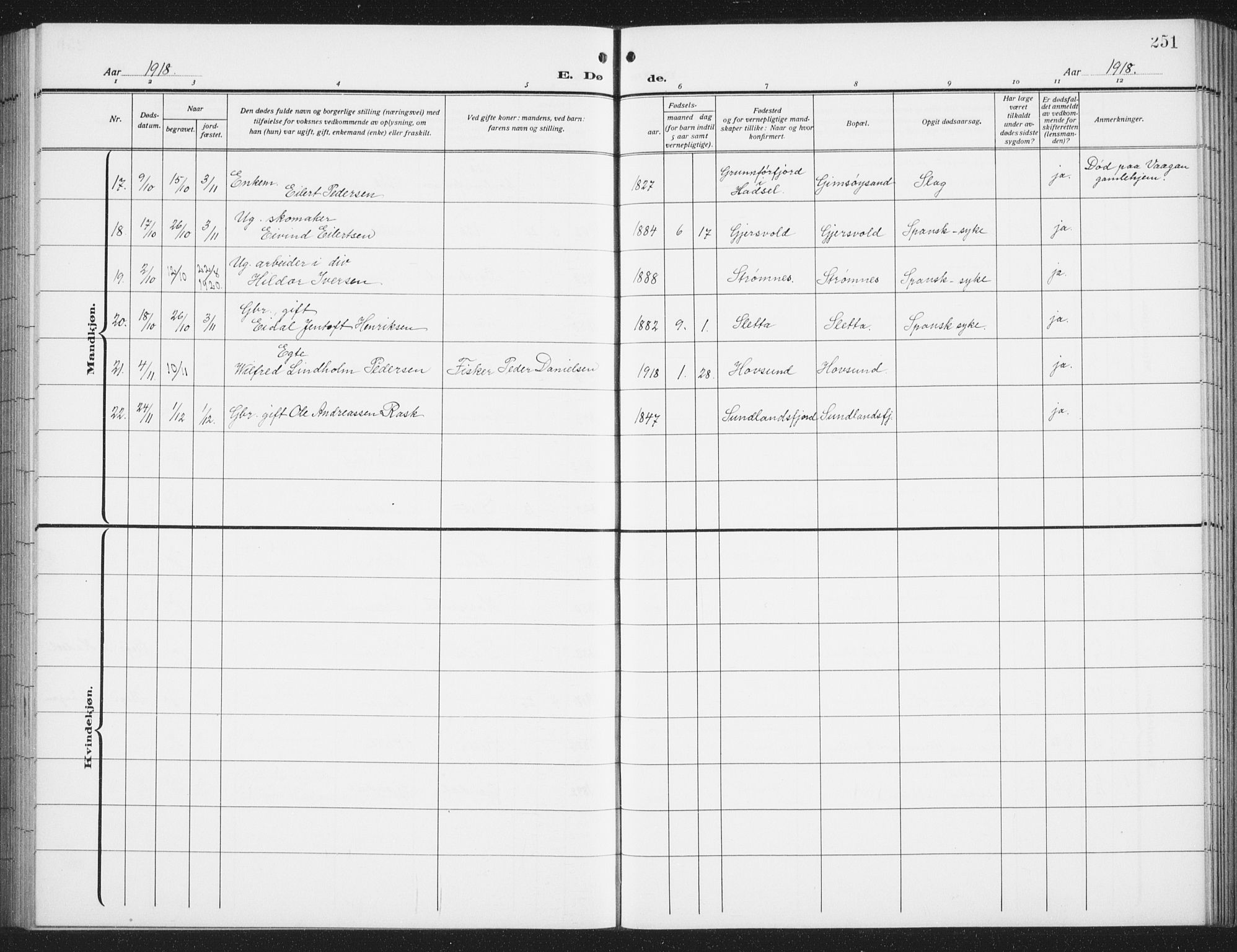 Ministerialprotokoller, klokkerbøker og fødselsregistre - Nordland, AV/SAT-A-1459/876/L1106: Parish register (copy) no. 876C05, 1915-1942, p. 251