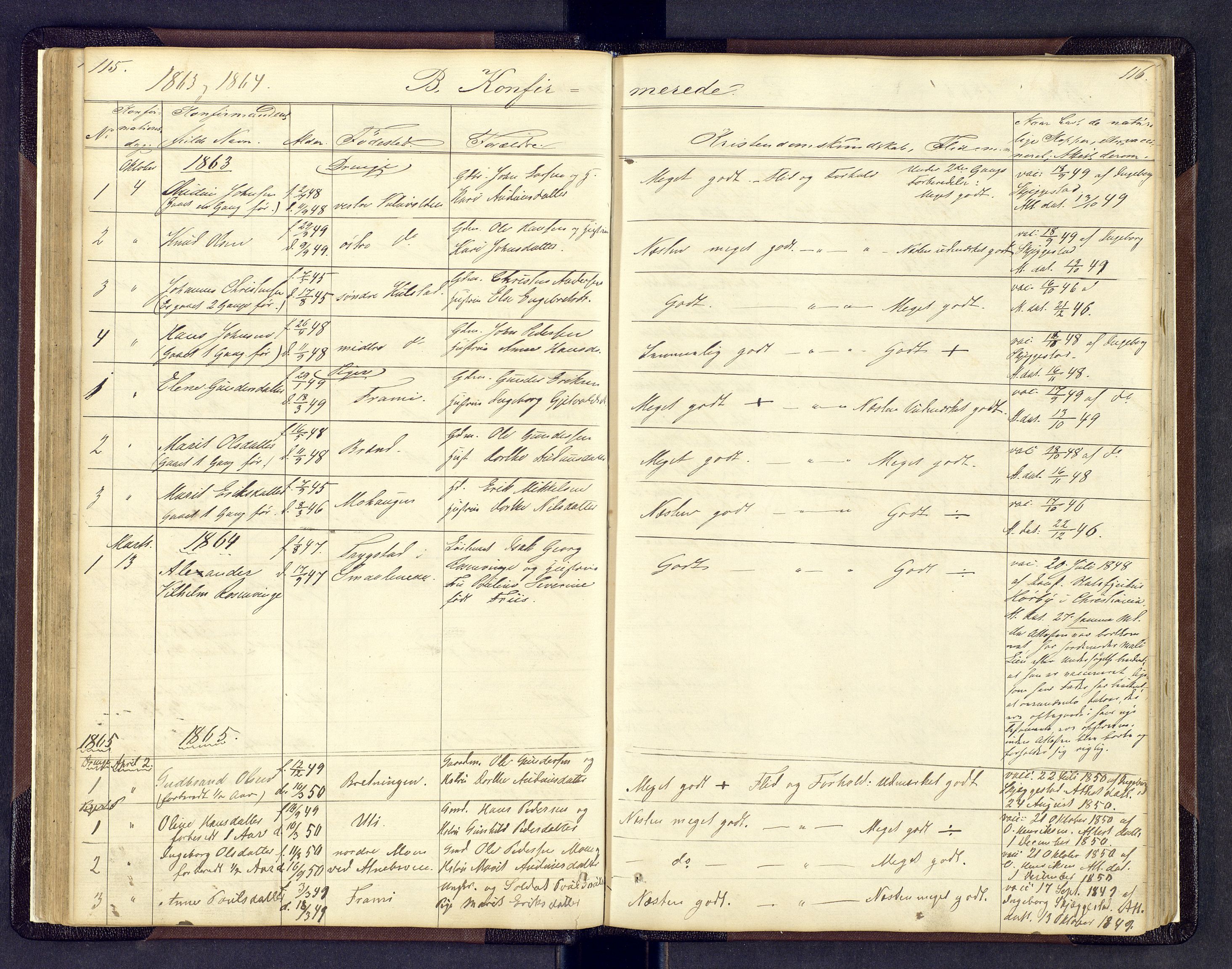 Sollia prestekontor, SAH/PREST-050/H/Ha/Hab/L0001: Parish register (copy) no. 1, 1862-1879, p. 115-116