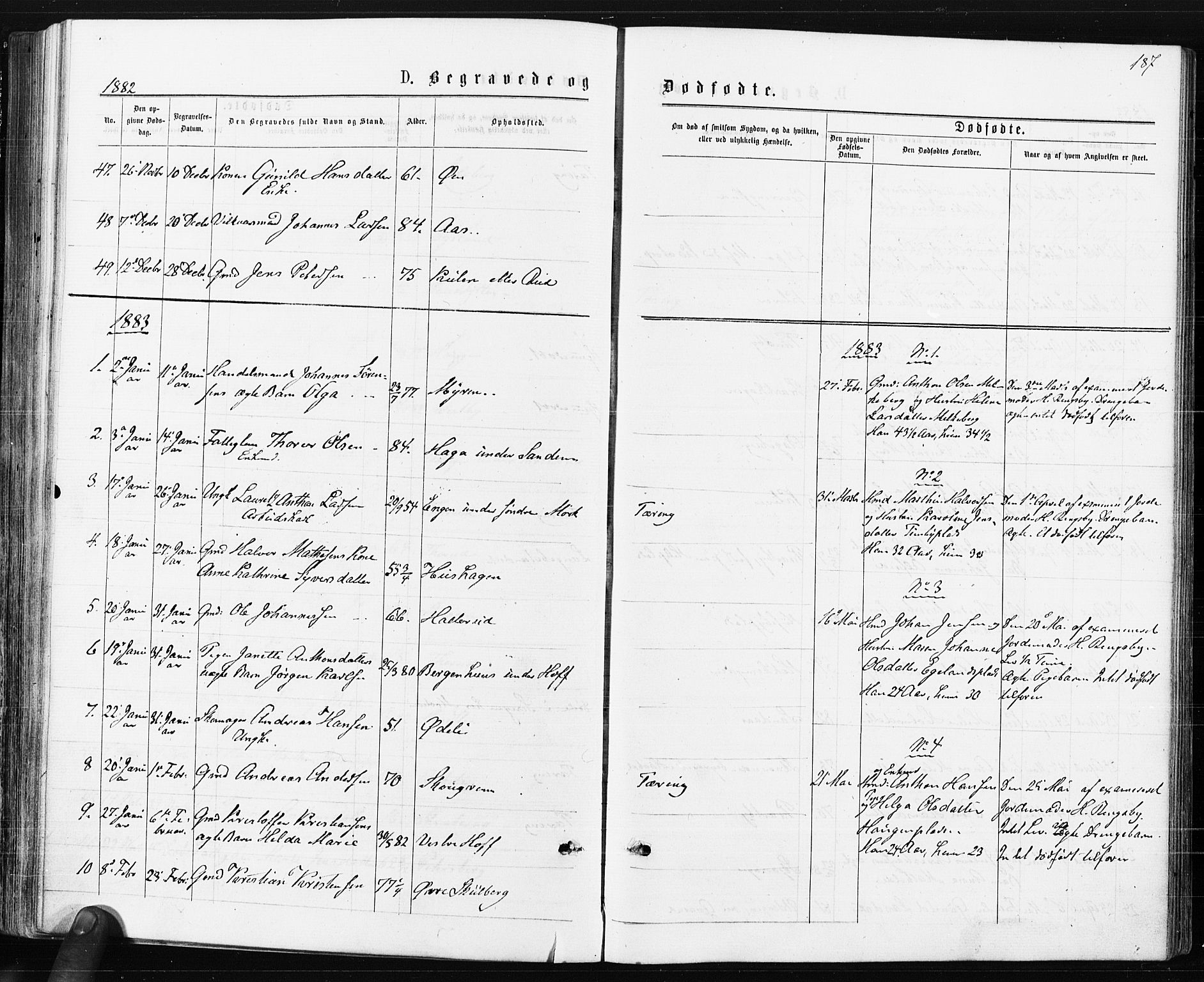 Spydeberg prestekontor Kirkebøker, AV/SAO-A-10924/F/Fa/L0007: Parish register (official) no. I 7, 1875-1885, p. 187