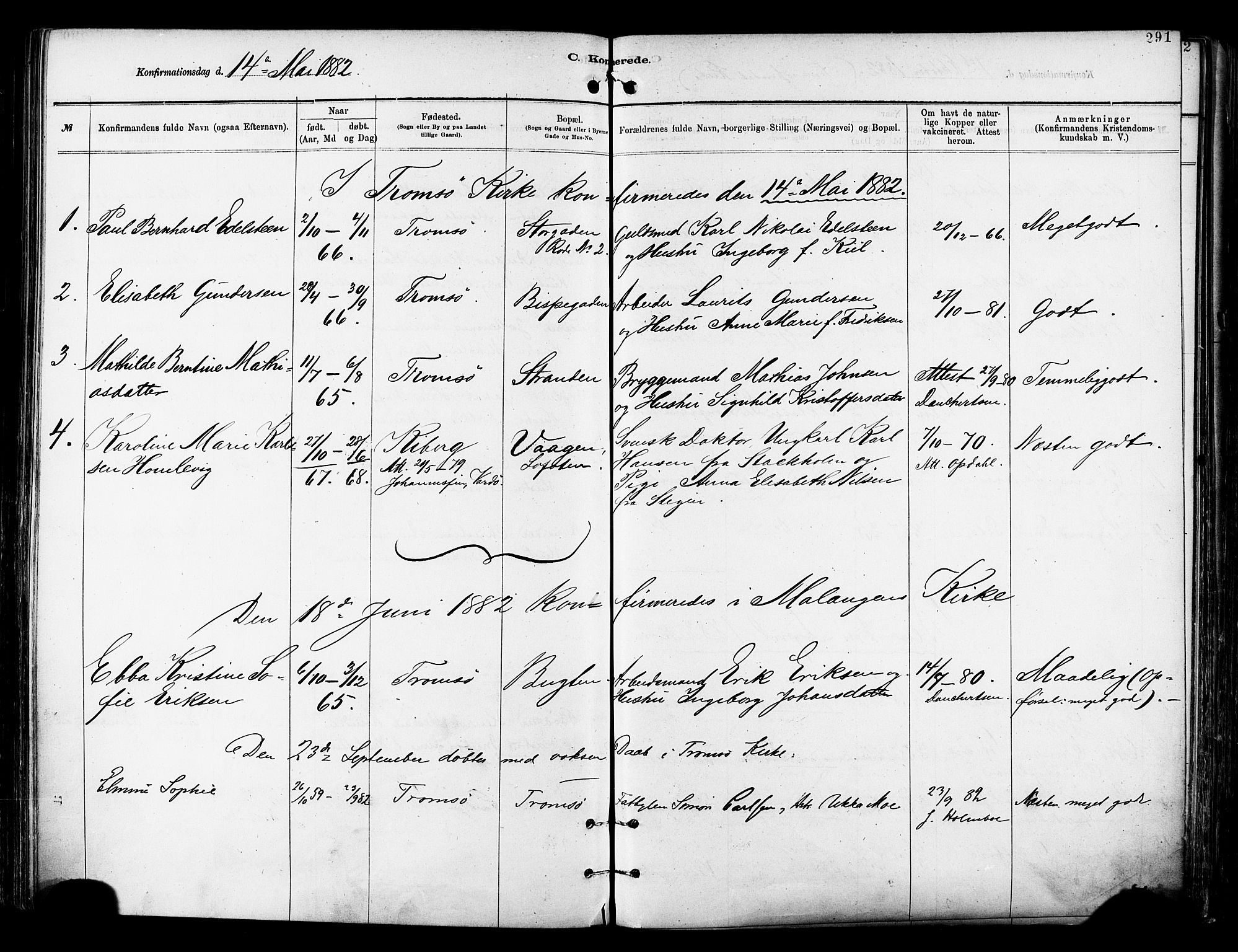 Tromsø sokneprestkontor/stiftsprosti/domprosti, SATØ/S-1343/G/Ga/L0014kirke: Parish register (official) no. 14, 1878-1888, p. 291