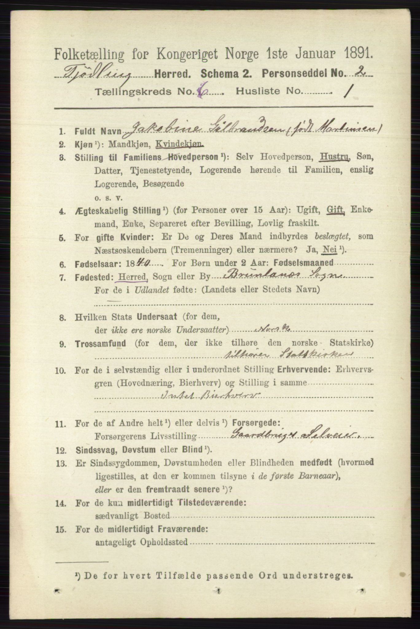 RA, 1891 census for 0725 Tjølling, 1891, p. 2902