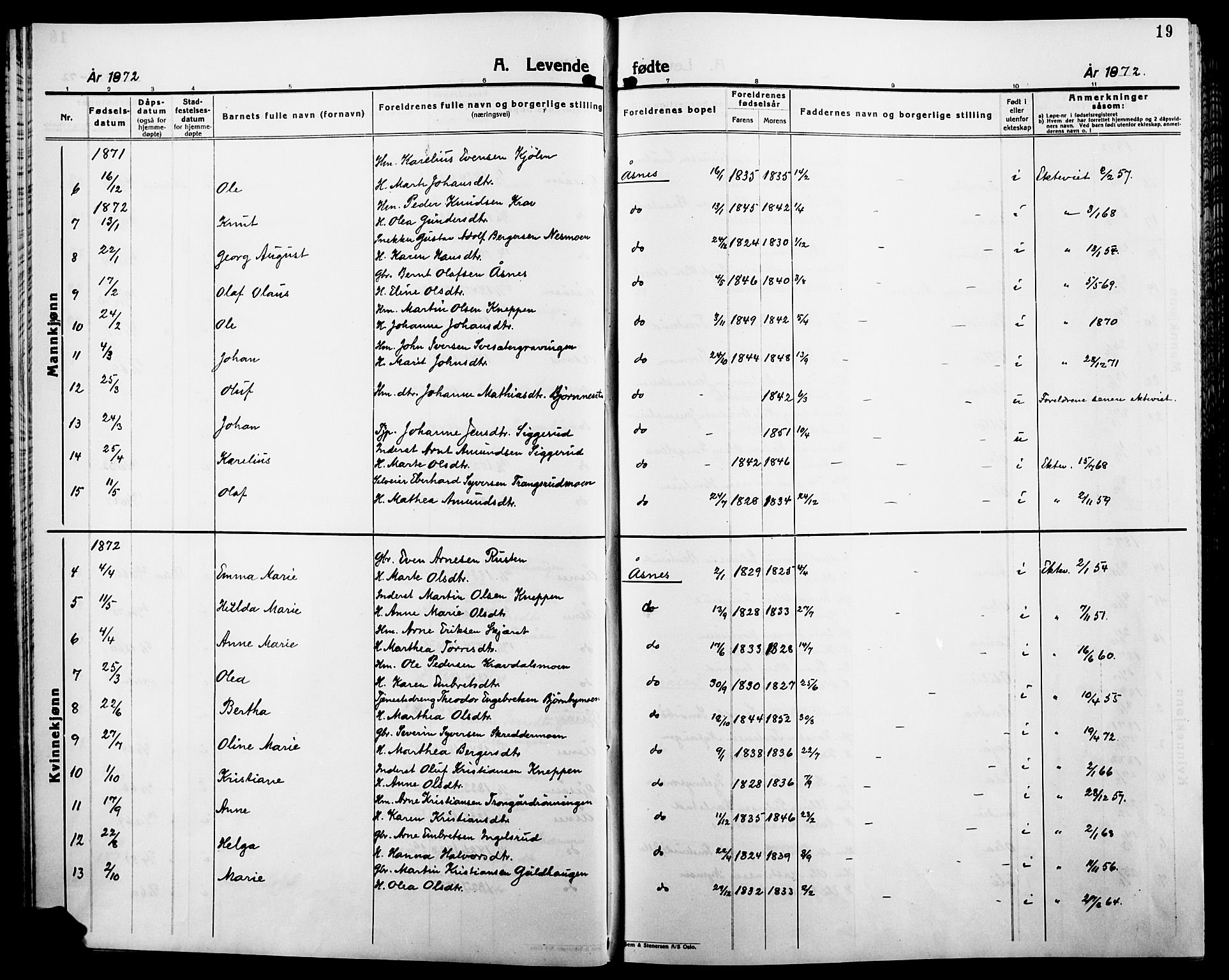 Åsnes prestekontor, AV/SAH-PREST-042/H/Ha/Haa/L0000B: Parish register (official), 1870-1889, p. 19