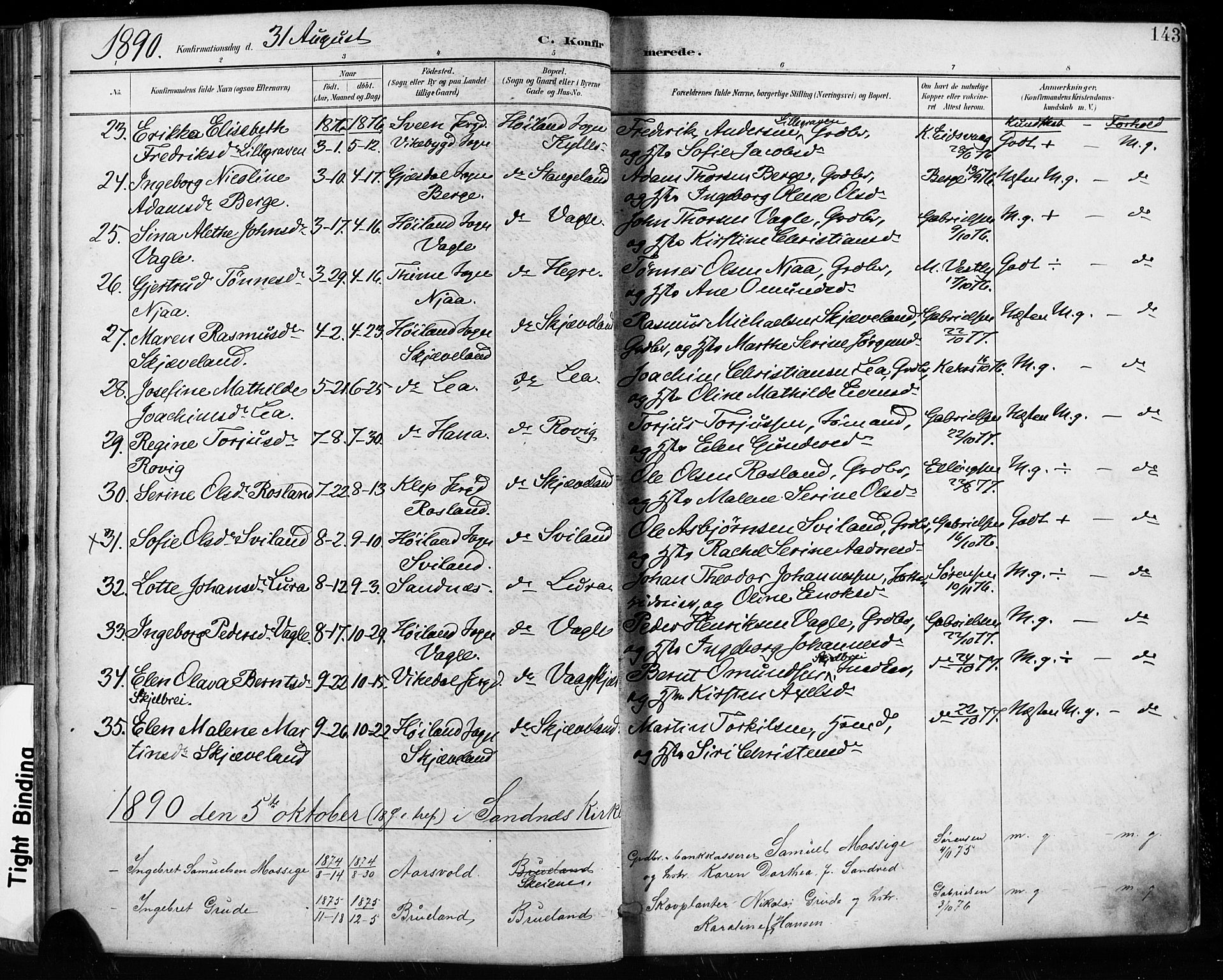 Høyland sokneprestkontor, AV/SAST-A-101799/001/30BA/L0013: Parish register (official) no. A 13.1, 1889-1898, p. 143