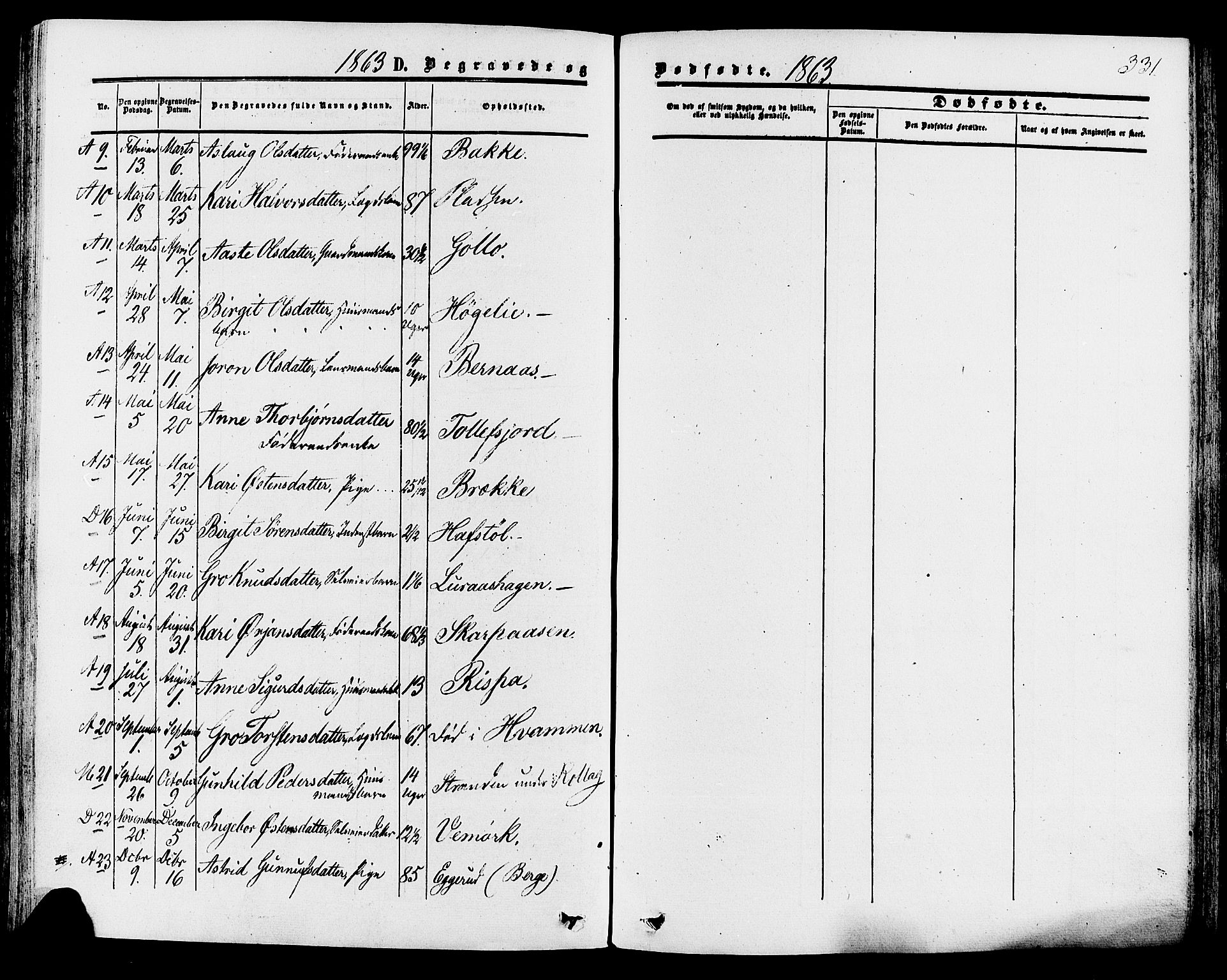 Tinn kirkebøker, SAKO/A-308/F/Fa/L0006: Parish register (official) no. I 6, 1857-1878, p. 331