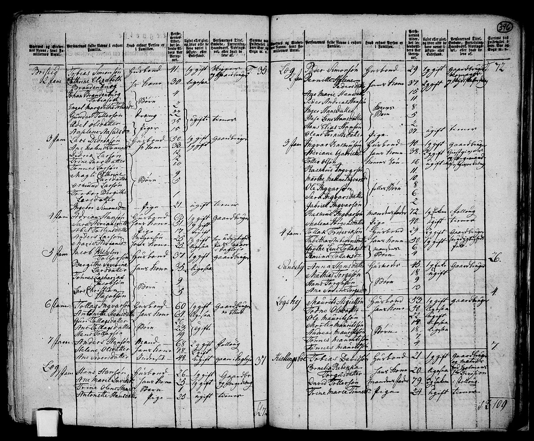 RA, 1801 census for 1041P Vanse, 1801, p. 395b-396a