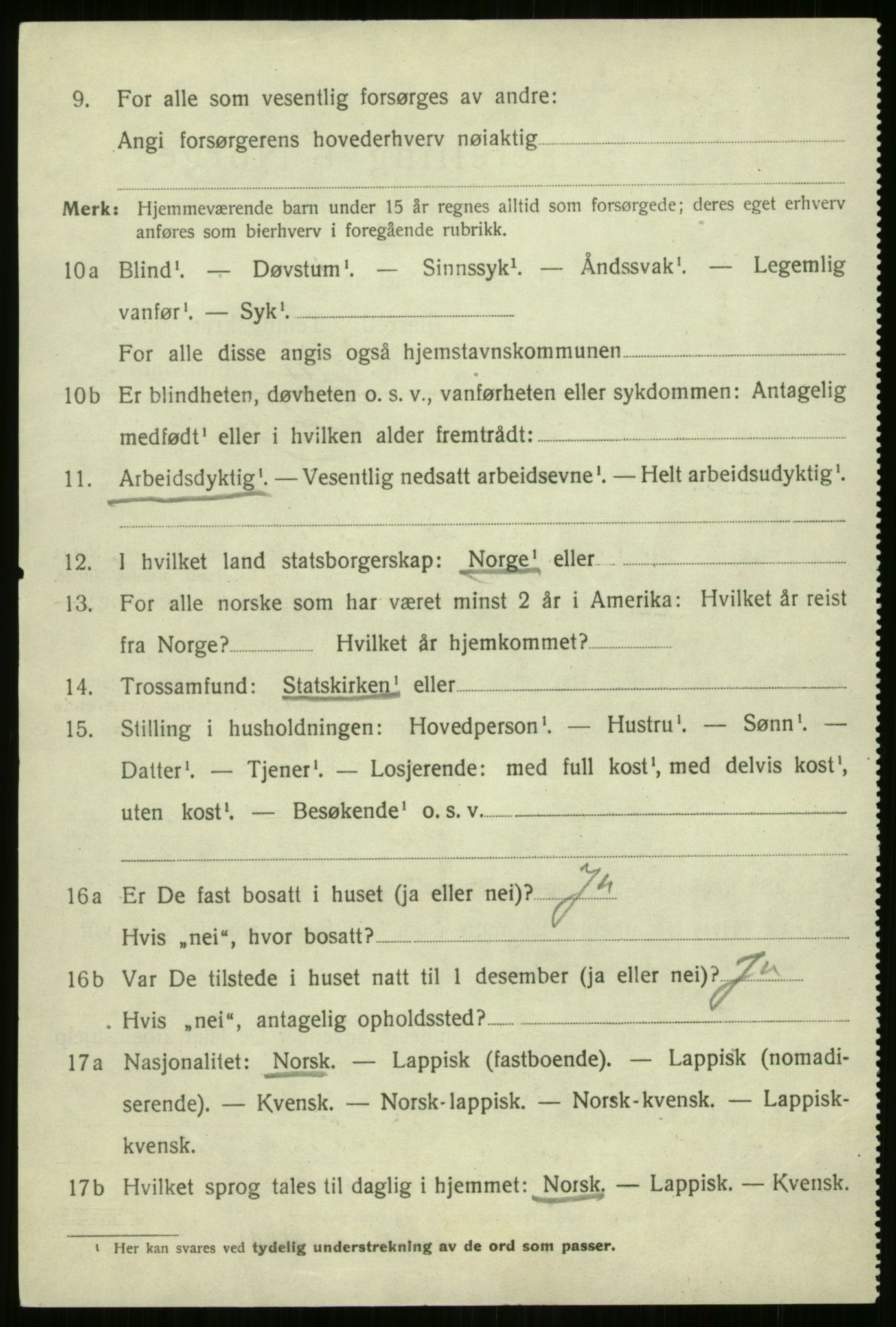 SATØ, 1920 census for Nordreisa, 1920, p. 1248