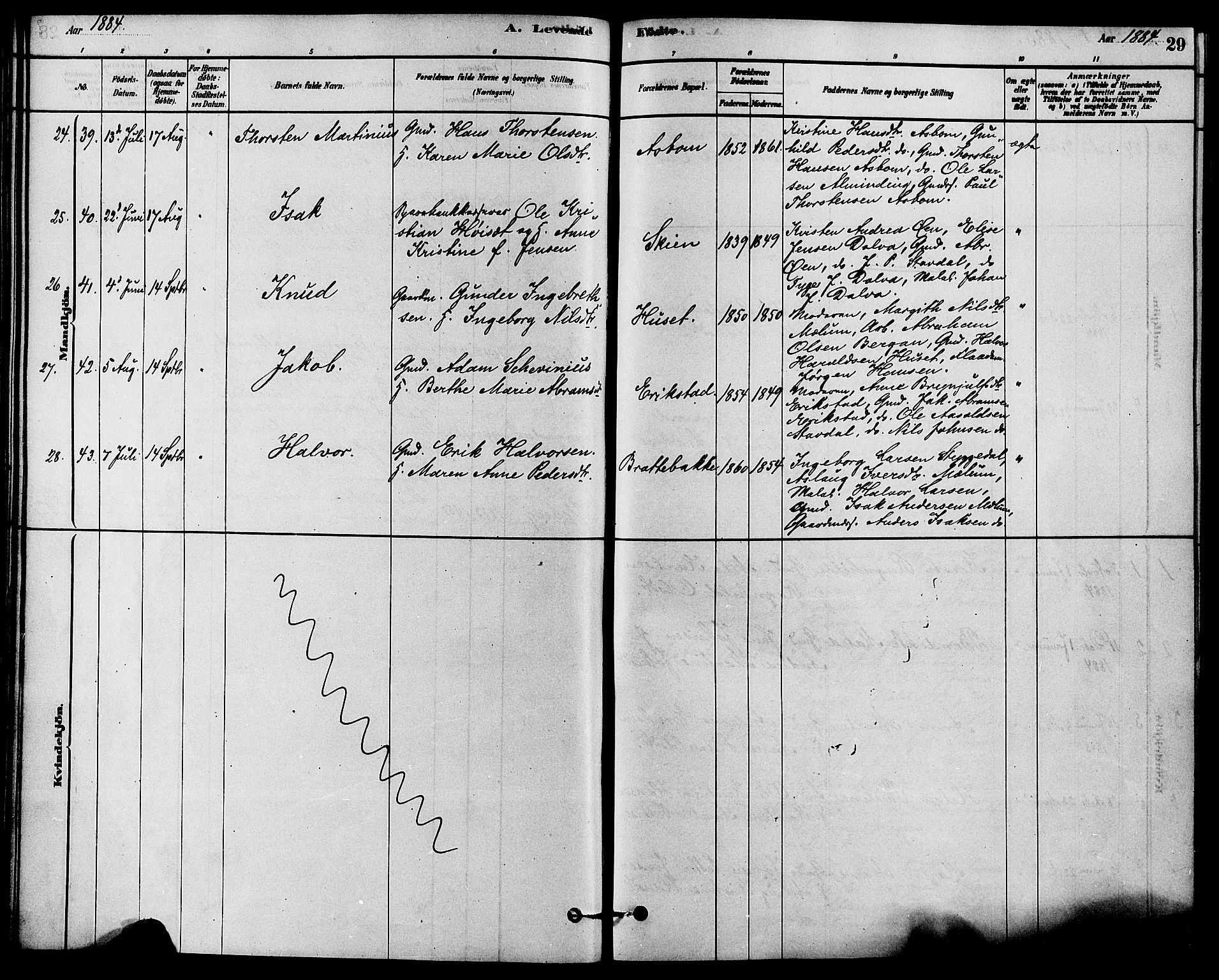 Solum kirkebøker, SAKO/A-306/F/Fb/L0001: Parish register (official) no. II 1, 1877-1892, p. 29