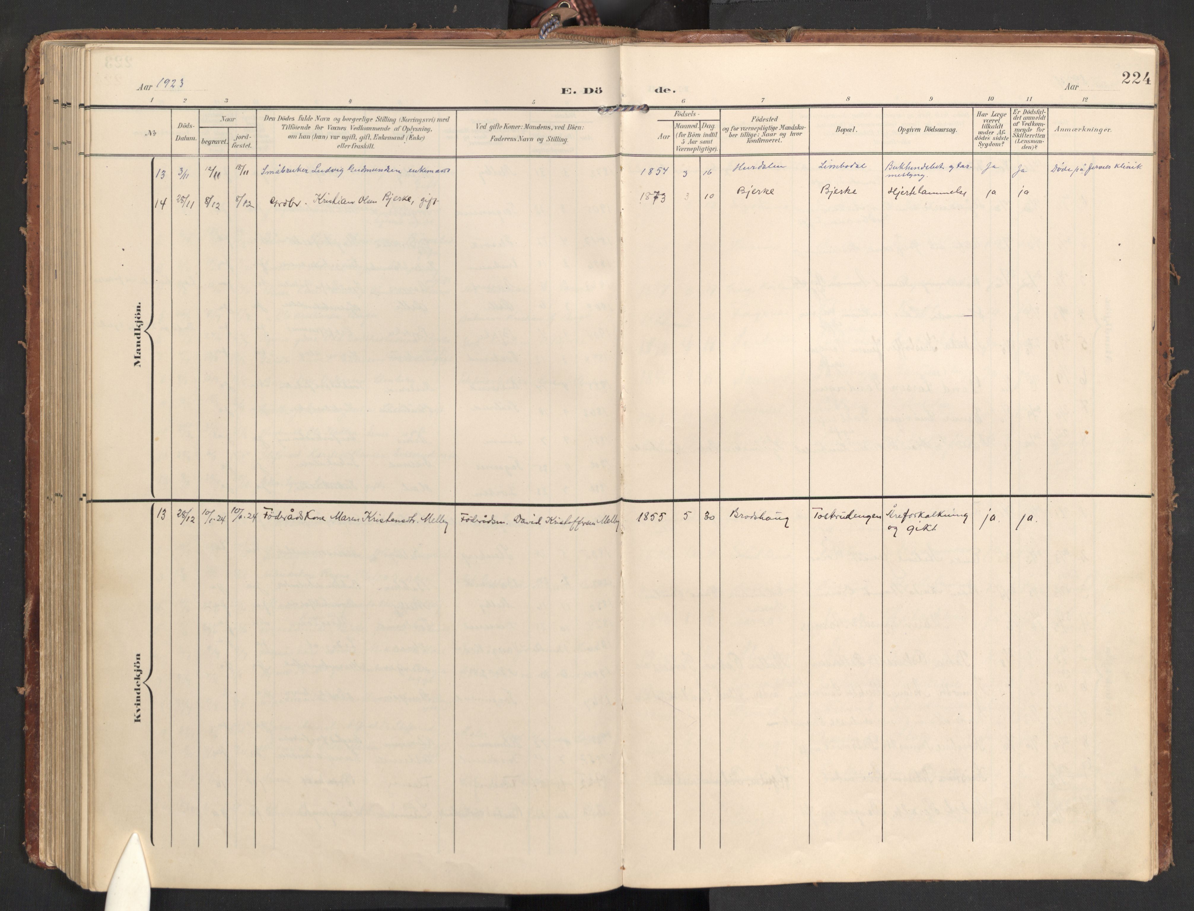 Hurdal prestekontor Kirkebøker, AV/SAO-A-10889/G/Gb/L0001: Parish register (copy) no. II 1, 1902-1939, p. 224