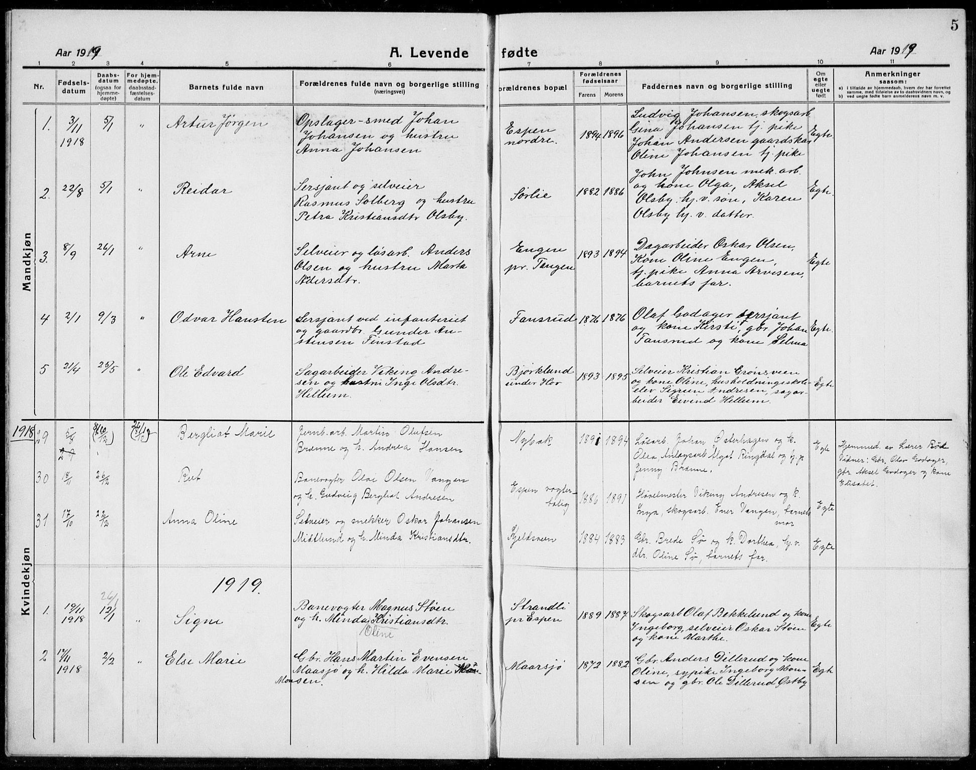 Stange prestekontor, SAH/PREST-002/L/L0017: Parish register (copy) no. 17, 1918-1936, p. 5