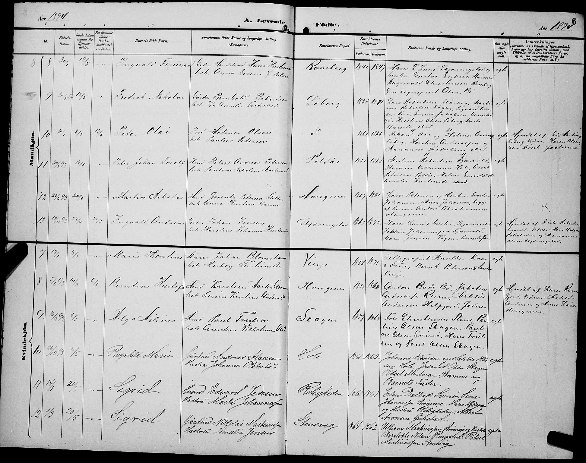 Ministerialprotokoller, klokkerbøker og fødselsregistre - Nordland, AV/SAT-A-1459/891/L1316: Parish register (copy) no. 891C05, 1894-1898, p. 6