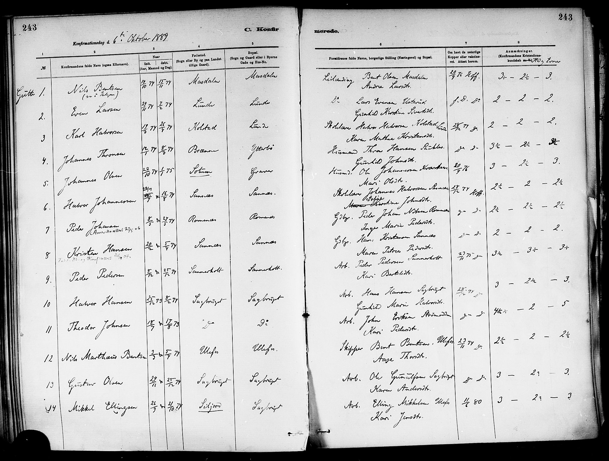 Holla kirkebøker, SAKO/A-272/F/Fa/L0008: Parish register (official) no. 8, 1882-1897, p. 243