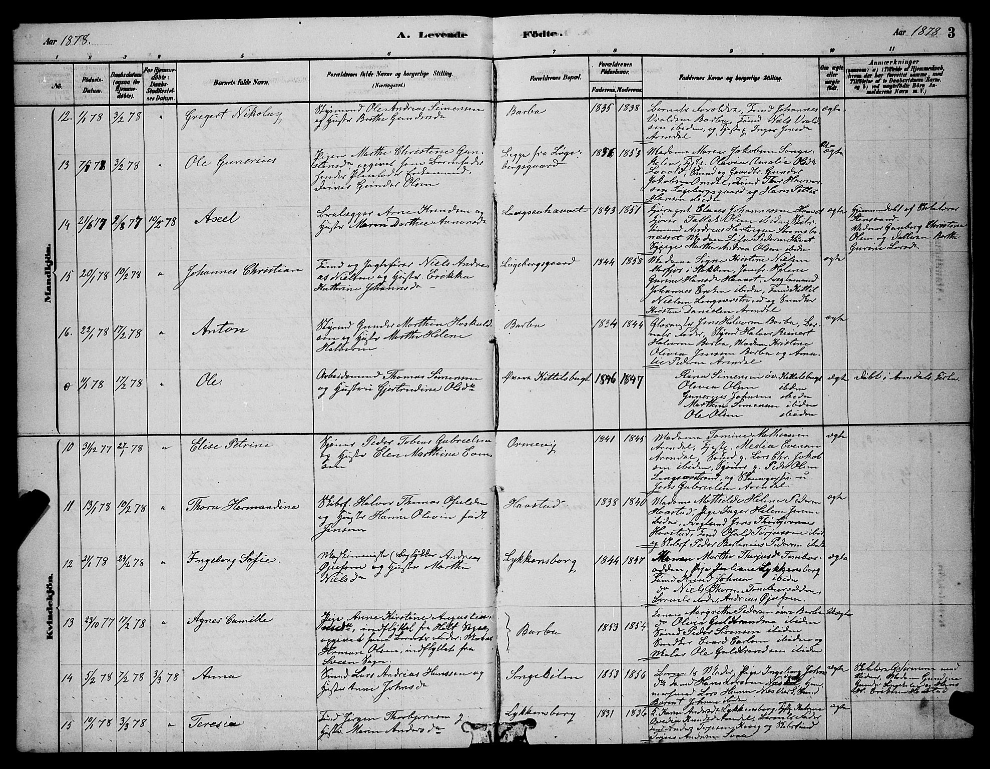 Barbu sokneprestkontor, AV/SAK-1111-0003/F/Fb/L0001: Parish register (copy) no. B 1, 1878-1890, p. 3