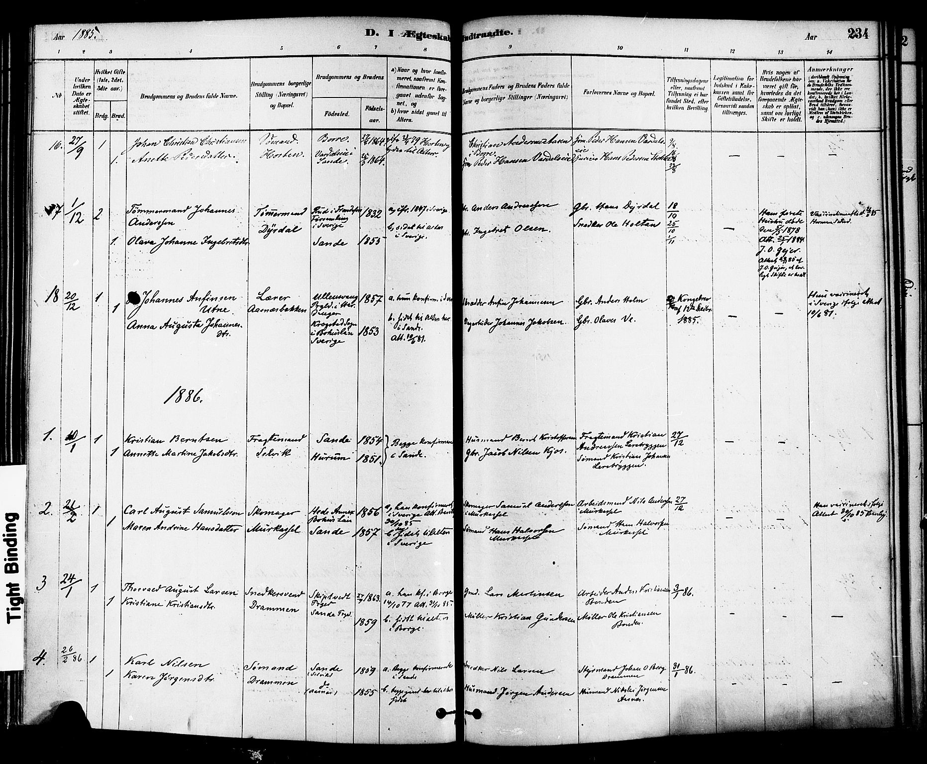 Sande Kirkebøker, SAKO/A-53/F/Fa/L0006: Parish register (official) no. 6, 1878-1888, p. 234